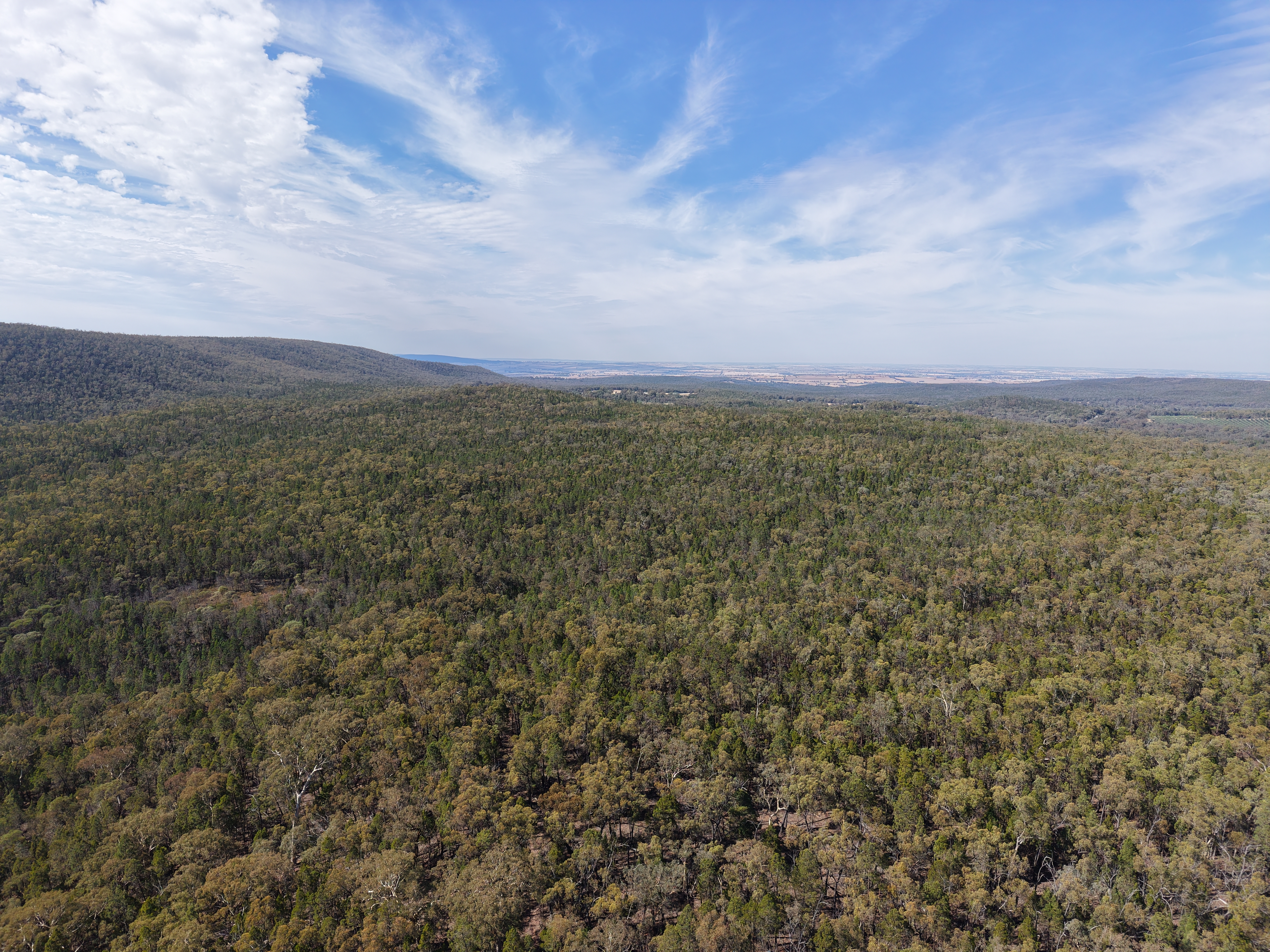 880 Major West Road, (Bumbaldry), Cowra Auction by Farmbuy.com - image 12