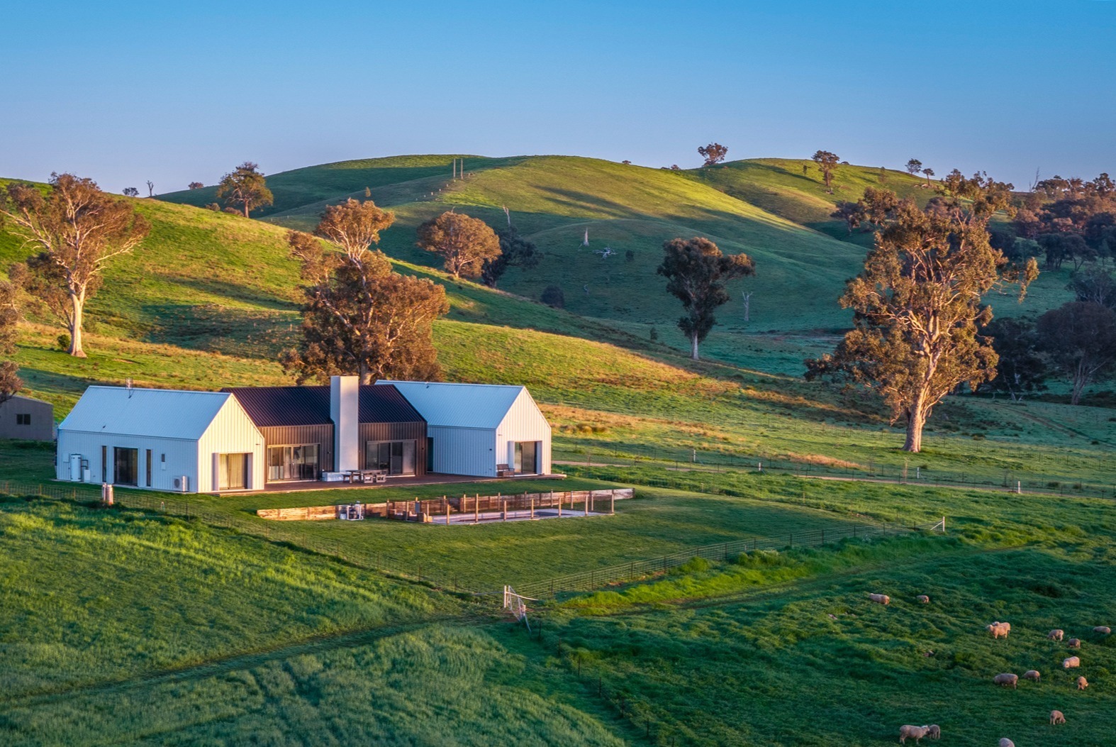 Farm Auction - NSW - Cumnock - 2867 - Highly Improved Central West Grazing Enterprise 