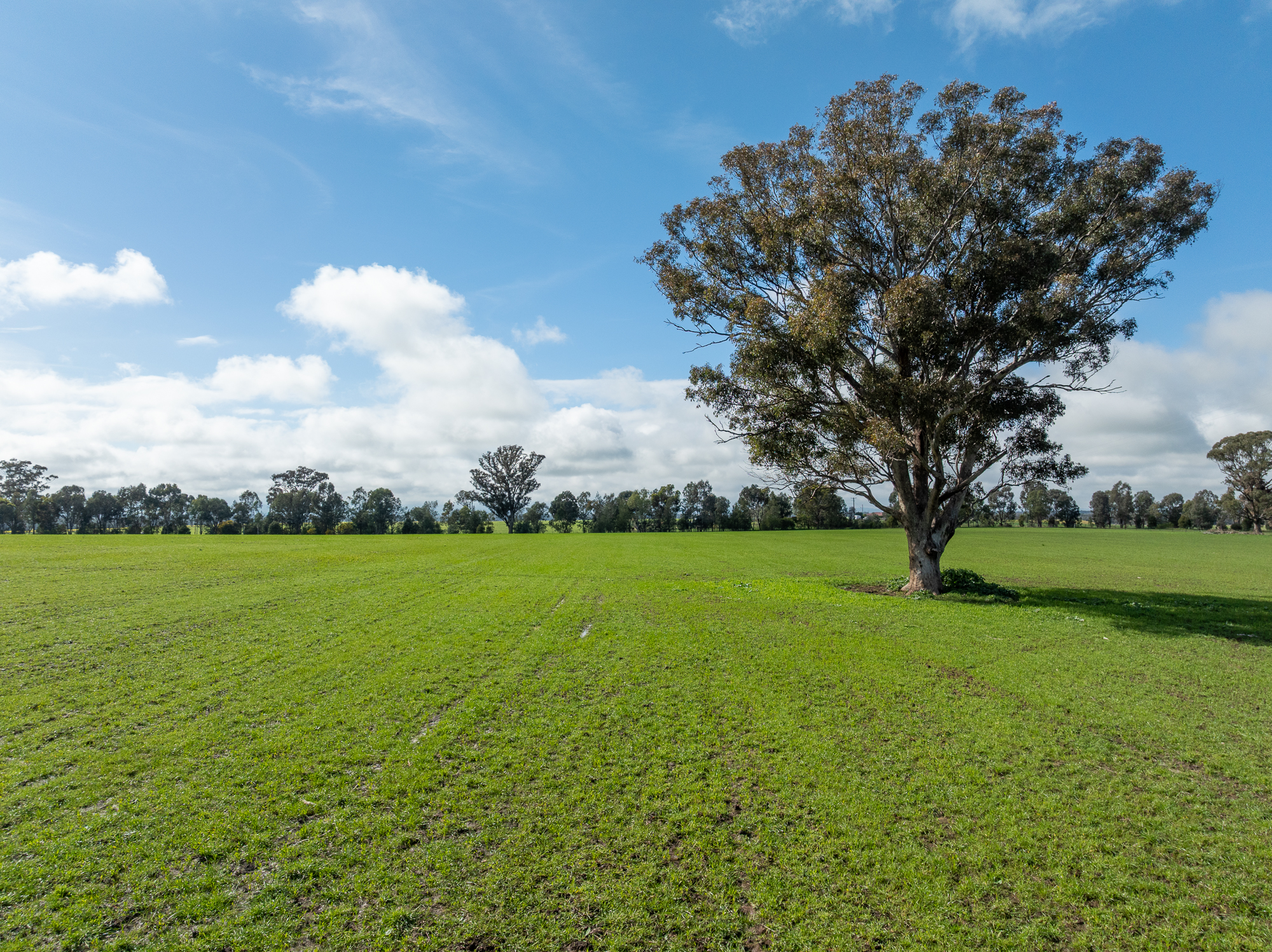 Lot 1 Sheep Station Road, Cowra NSW 2794