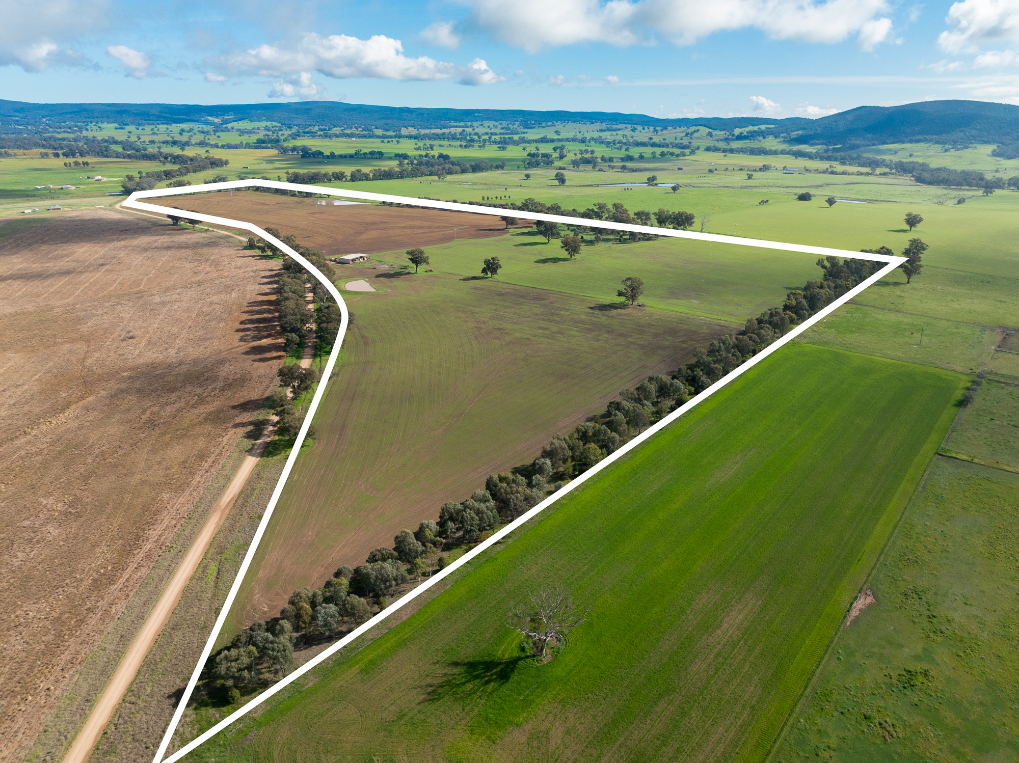 Lot 1 Sheep Station Road, Cowra For Sale by Farmbuy.com - image 2