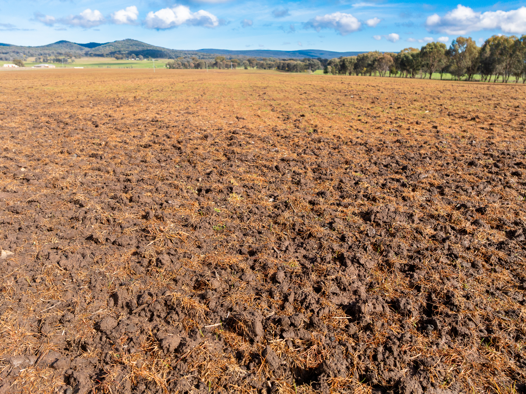 Lot 1 Sheep Station Road, Cowra For Sale by Farmbuy.com - image 3