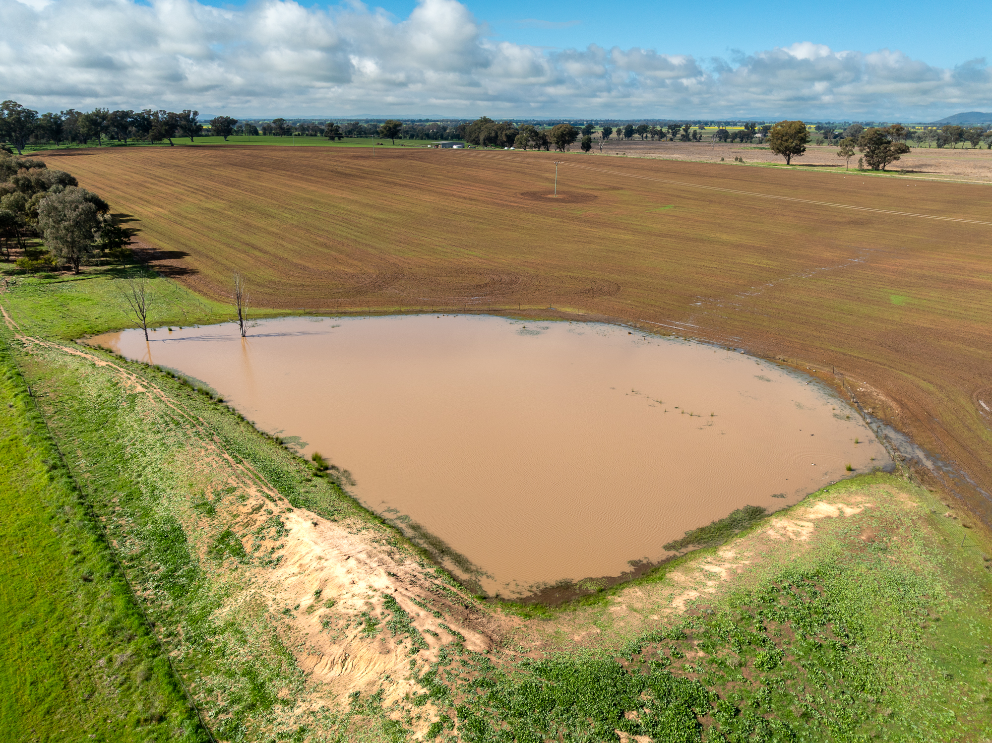Lot 1 Sheep Station Road, Cowra For Sale by Farmbuy.com - image 5