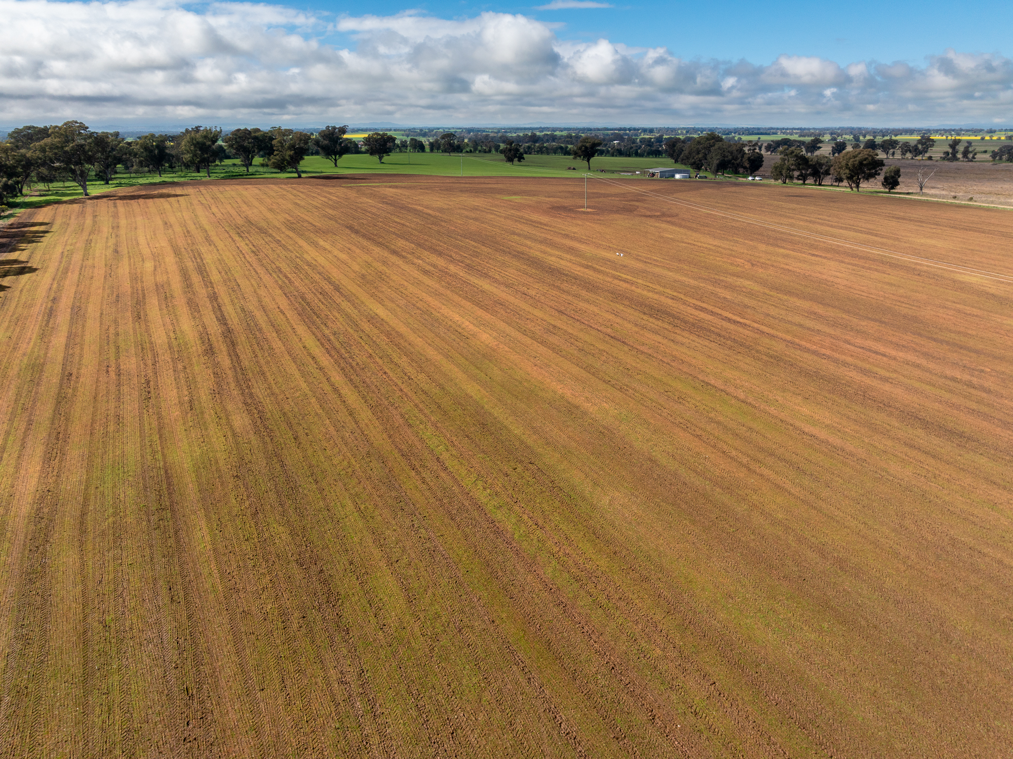 Lot 1 Sheep Station Road, Cowra For Sale by Farmbuy.com - image 6