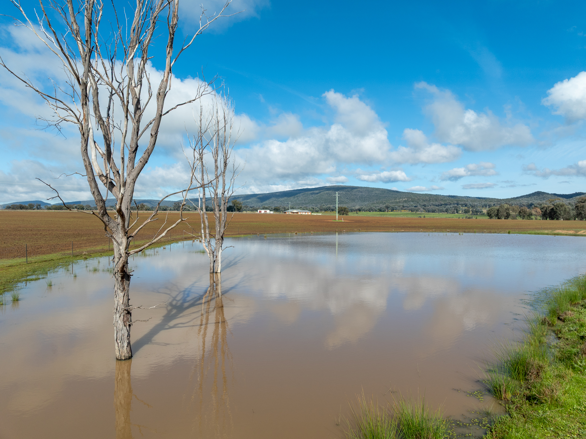Lot 1 Sheep Station Road, Cowra For Sale by Farmbuy.com - image 8