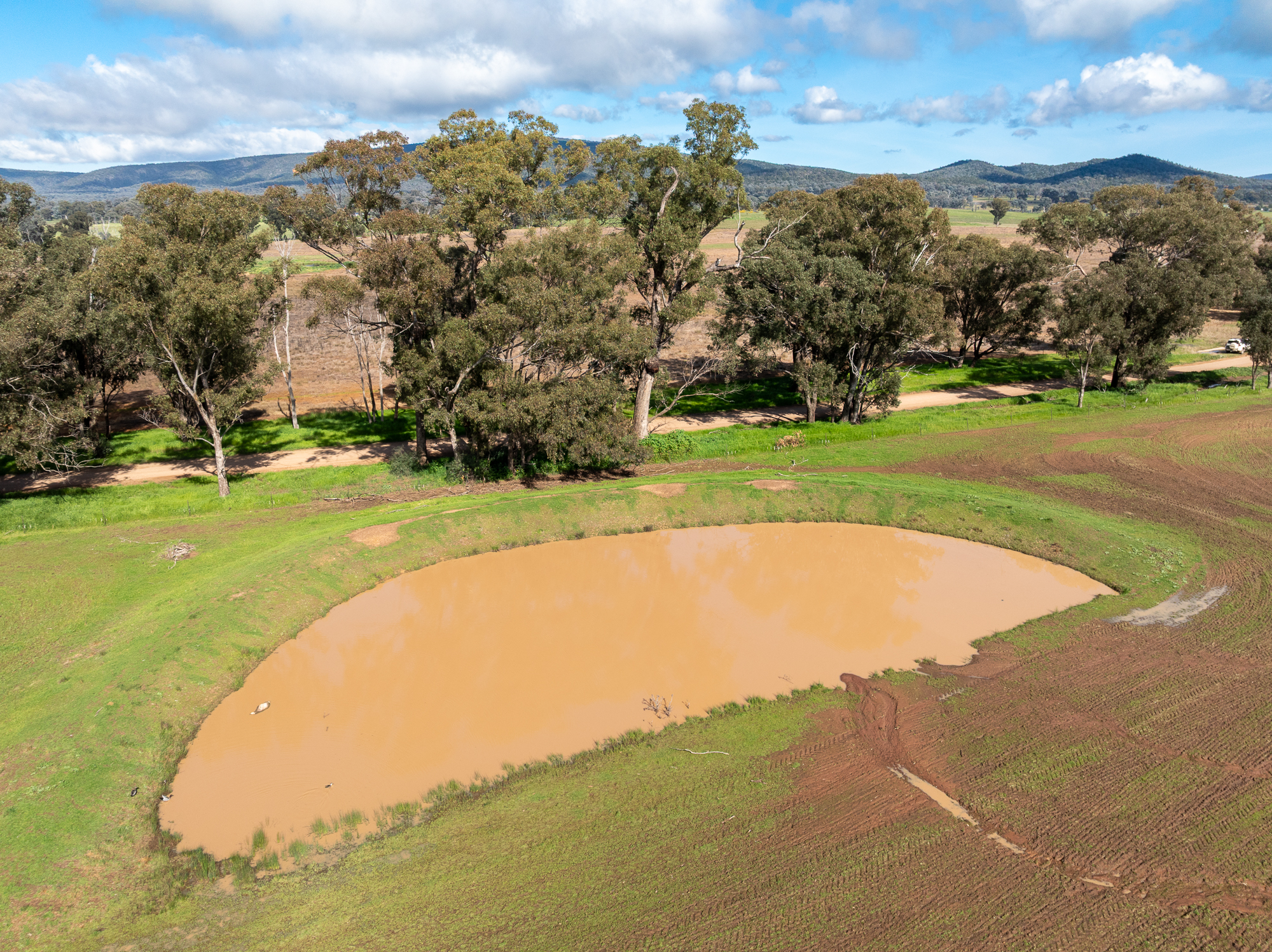 Lot 1 Sheep Station Road, Cowra For Sale by Farmbuy.com - image 12