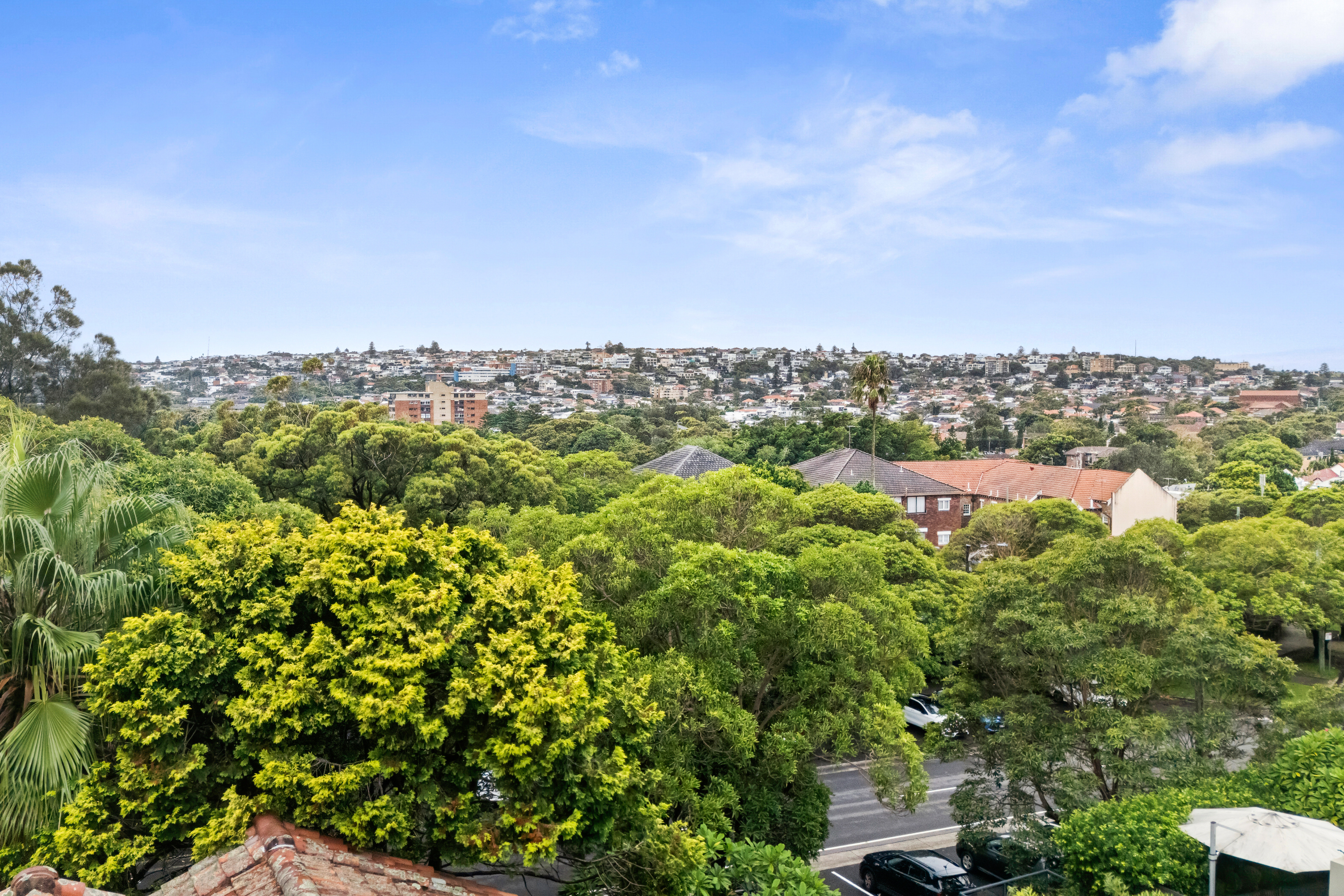 91 Birriga Road, Bellevue Hill - Thumbnail 8
