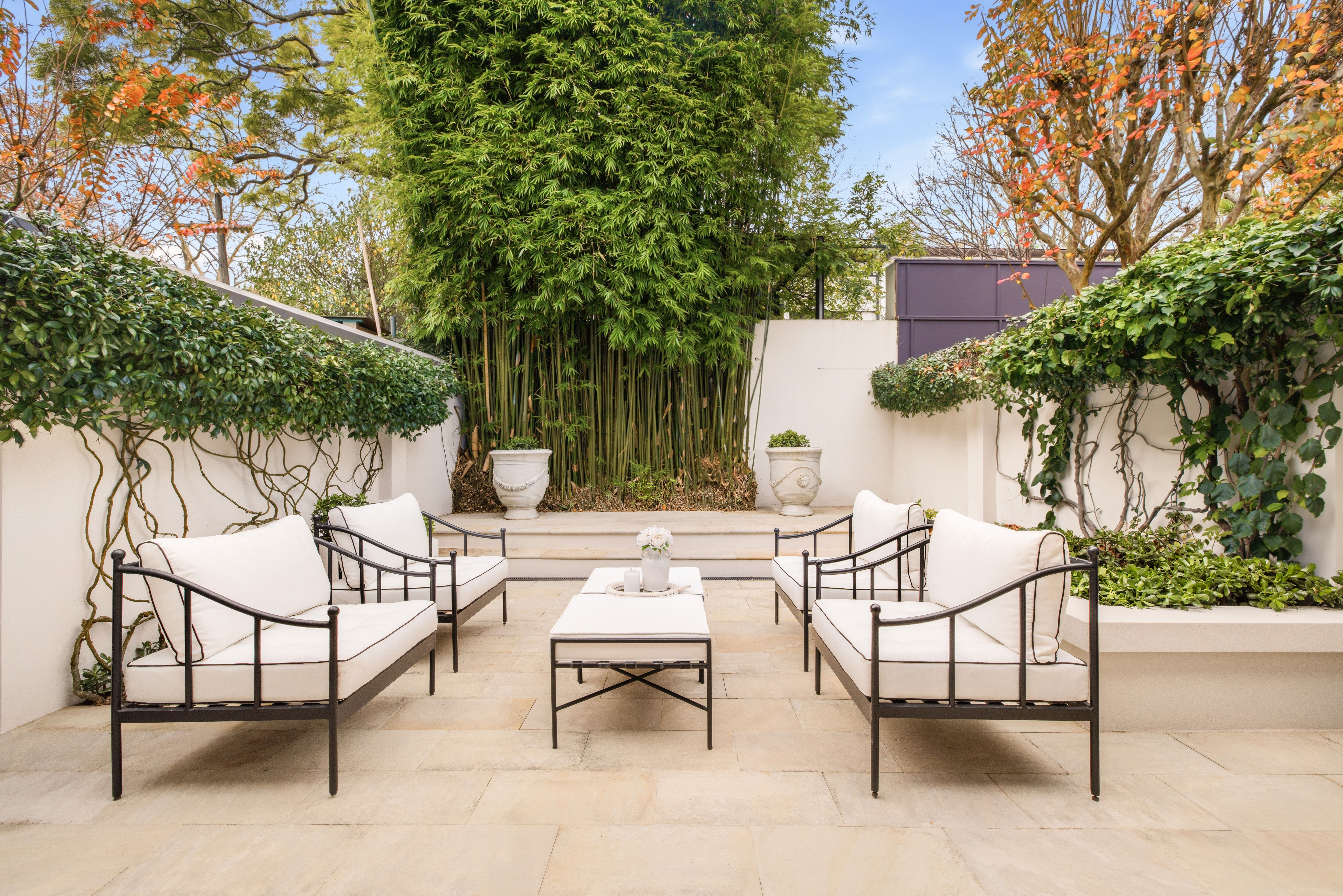 31 Spicer Street, Woollahra NSW 2025 - Image 1