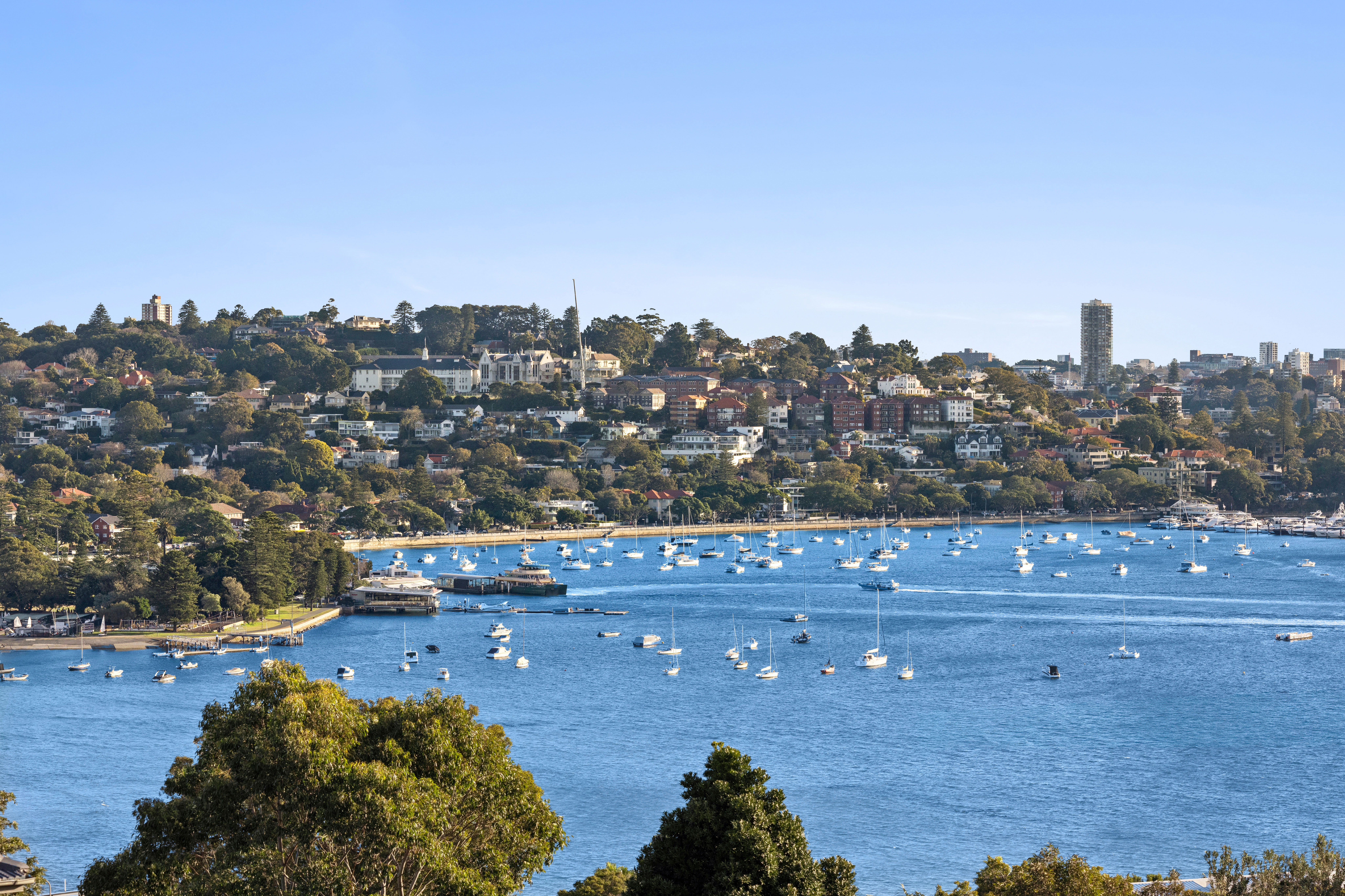 44 Towns Road, Vaucluse - Thumbnail 7