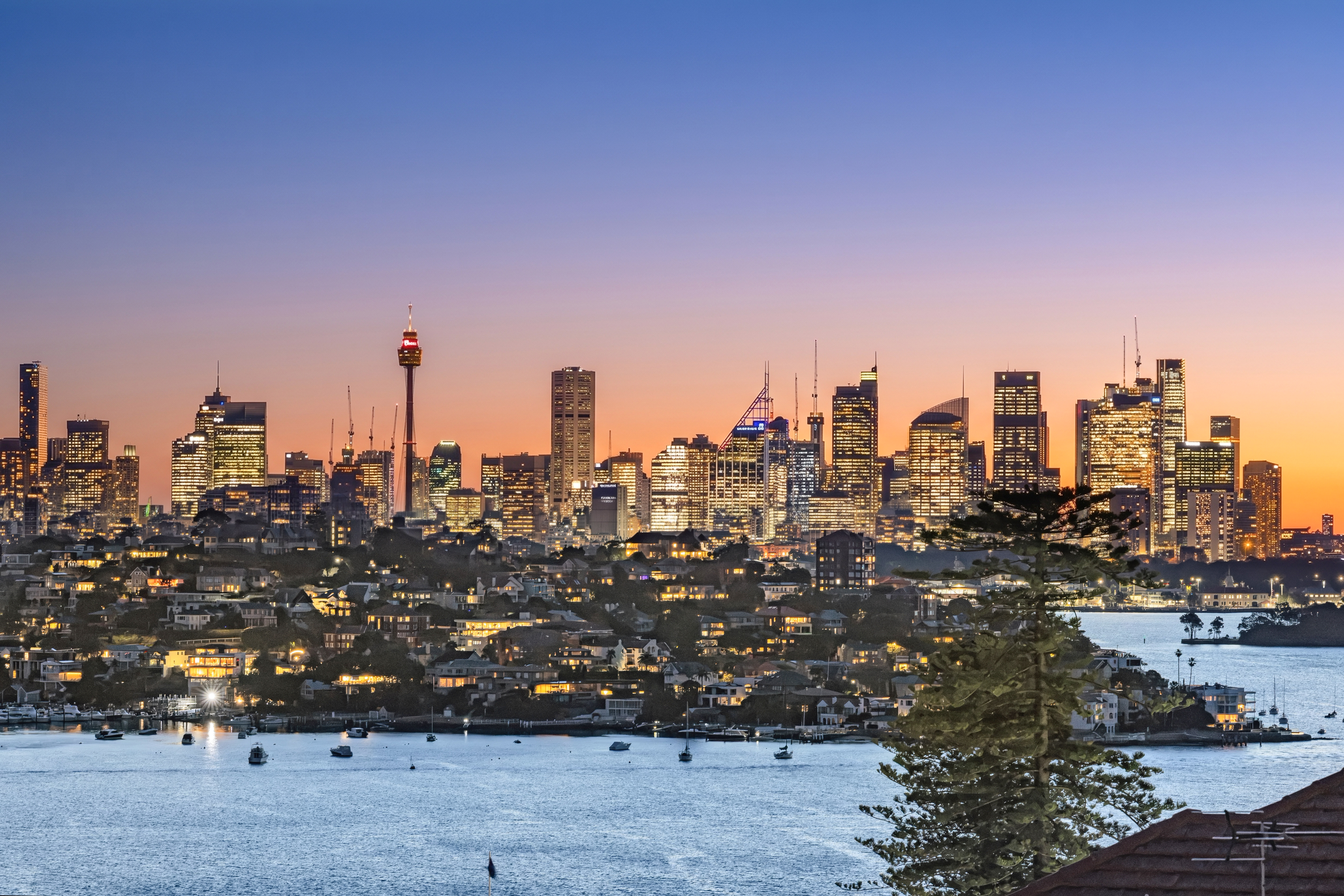 44 Towns Road, Vaucluse - Thumbnail 4