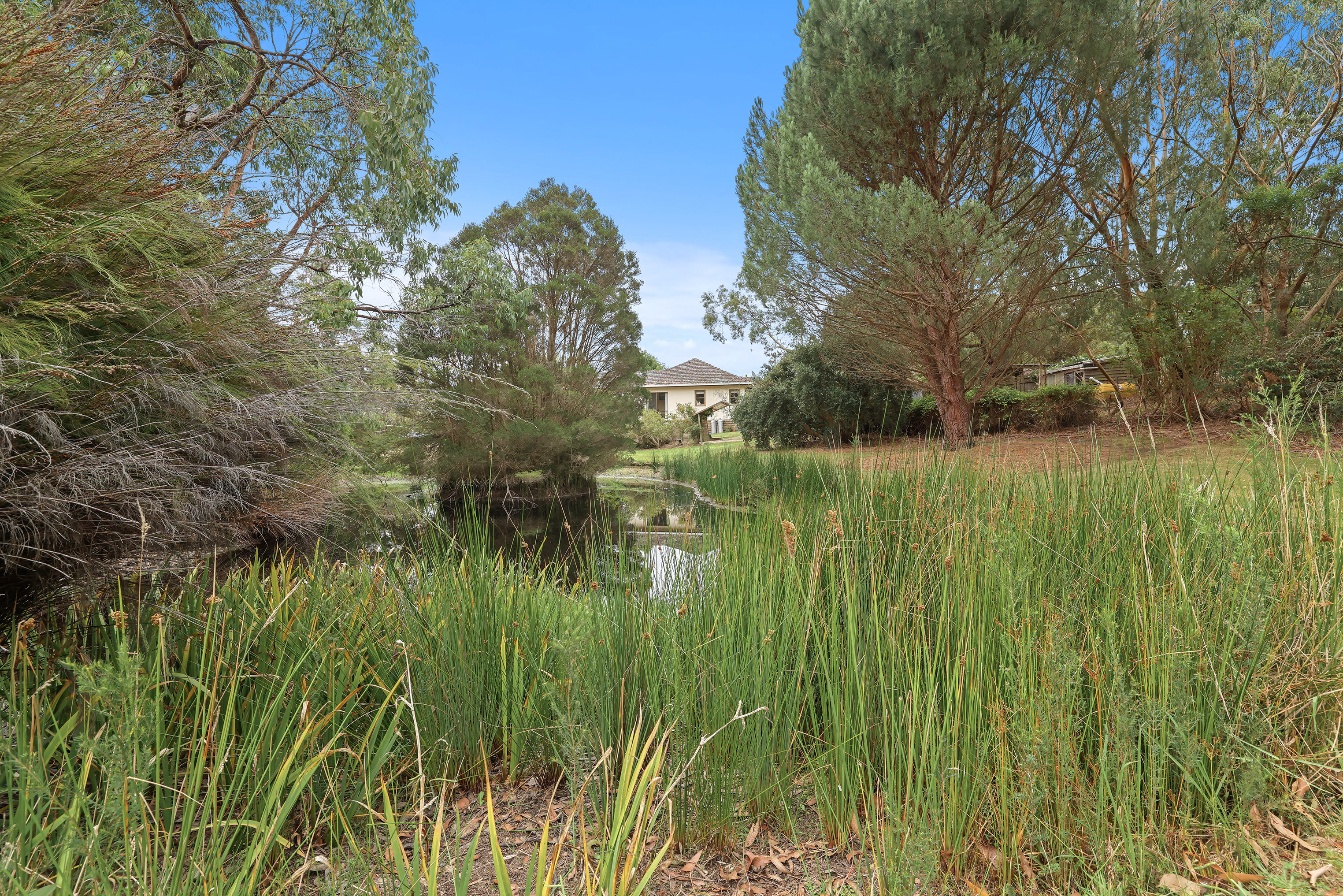 29 Hall Road, Buffalo For Sale by Farmbuy.com - image 17