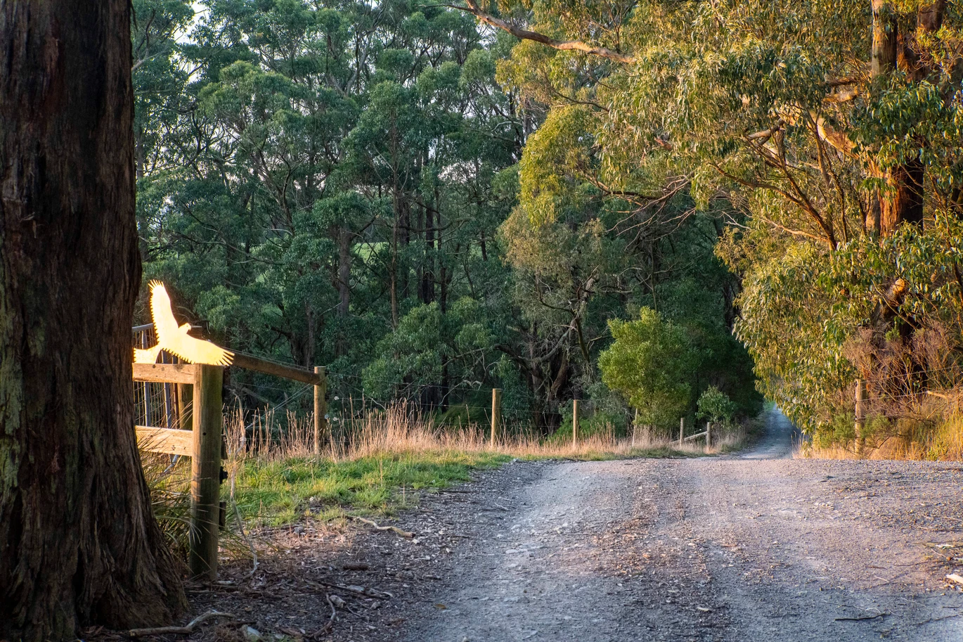 2160 Meeniyan -Promontory Rd, Fish Creek For Sale by Farmbuy.com - image 23