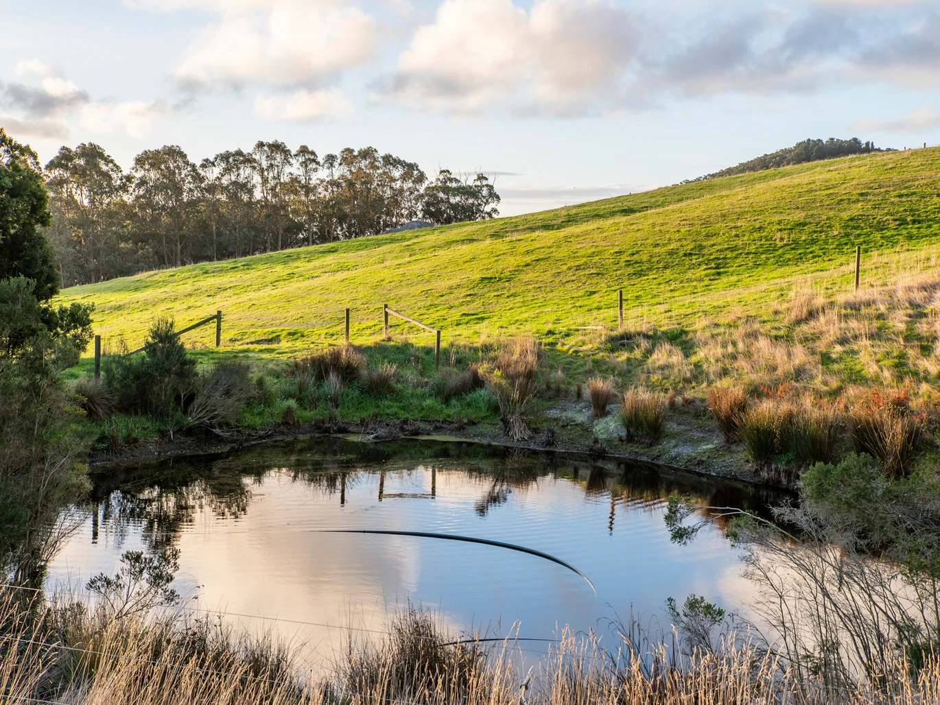 2160 Meeniyan -Promontory Rd, Fish Creek For Sale by Farmbuy.com - image 25