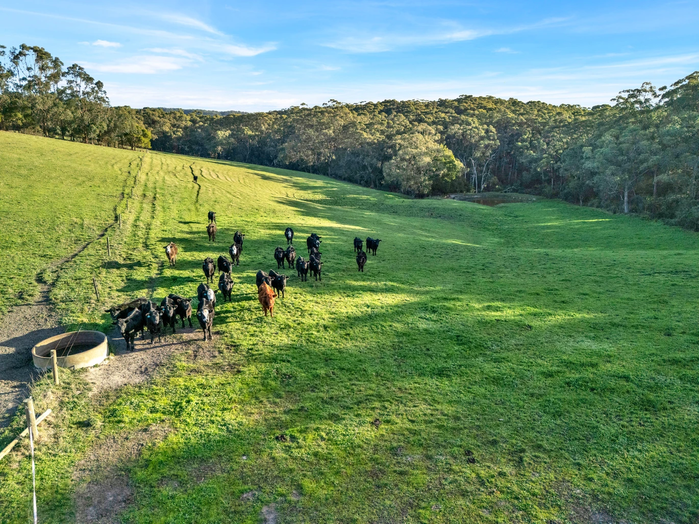 2160 Meeniyan -Promontory Rd, Fish Creek For Sale by Farmbuy.com - image 27