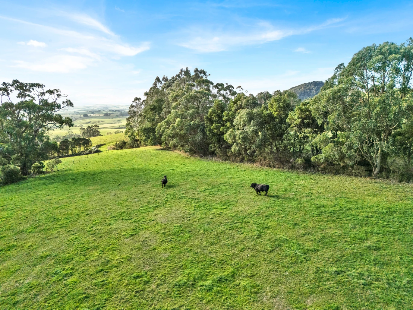2160 Meeniyan -Promontory Rd, Fish Creek For Sale by Farmbuy.com - image 28