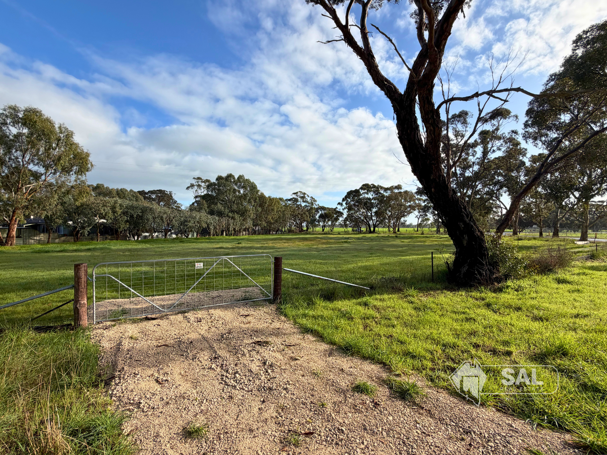 Lot 32 Rowney Road, Mundulla For Sale by Farmbuy.com - image 4