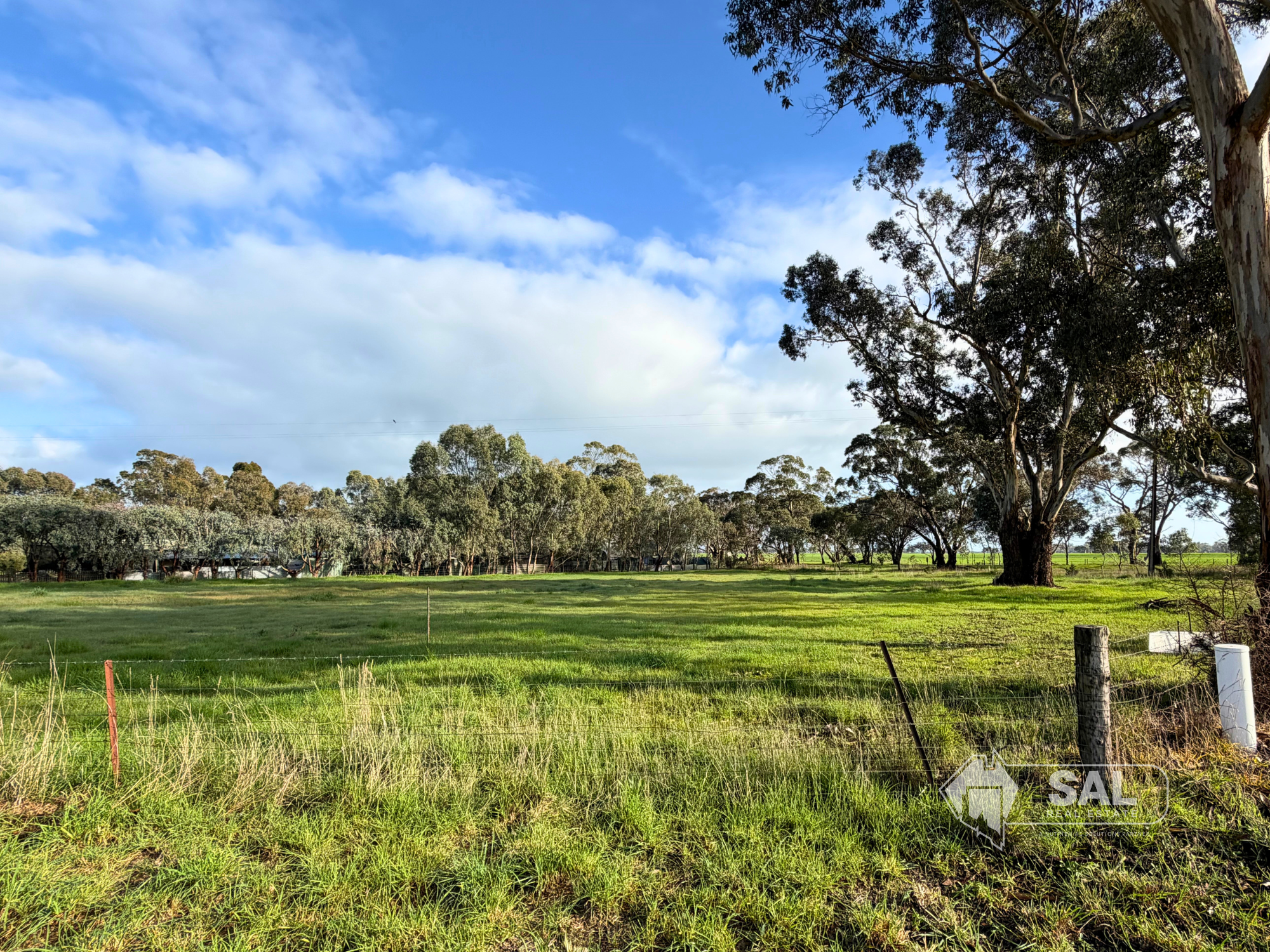 Lot 32 Rowney Road, Mundulla For Sale by Farmbuy.com - image 5