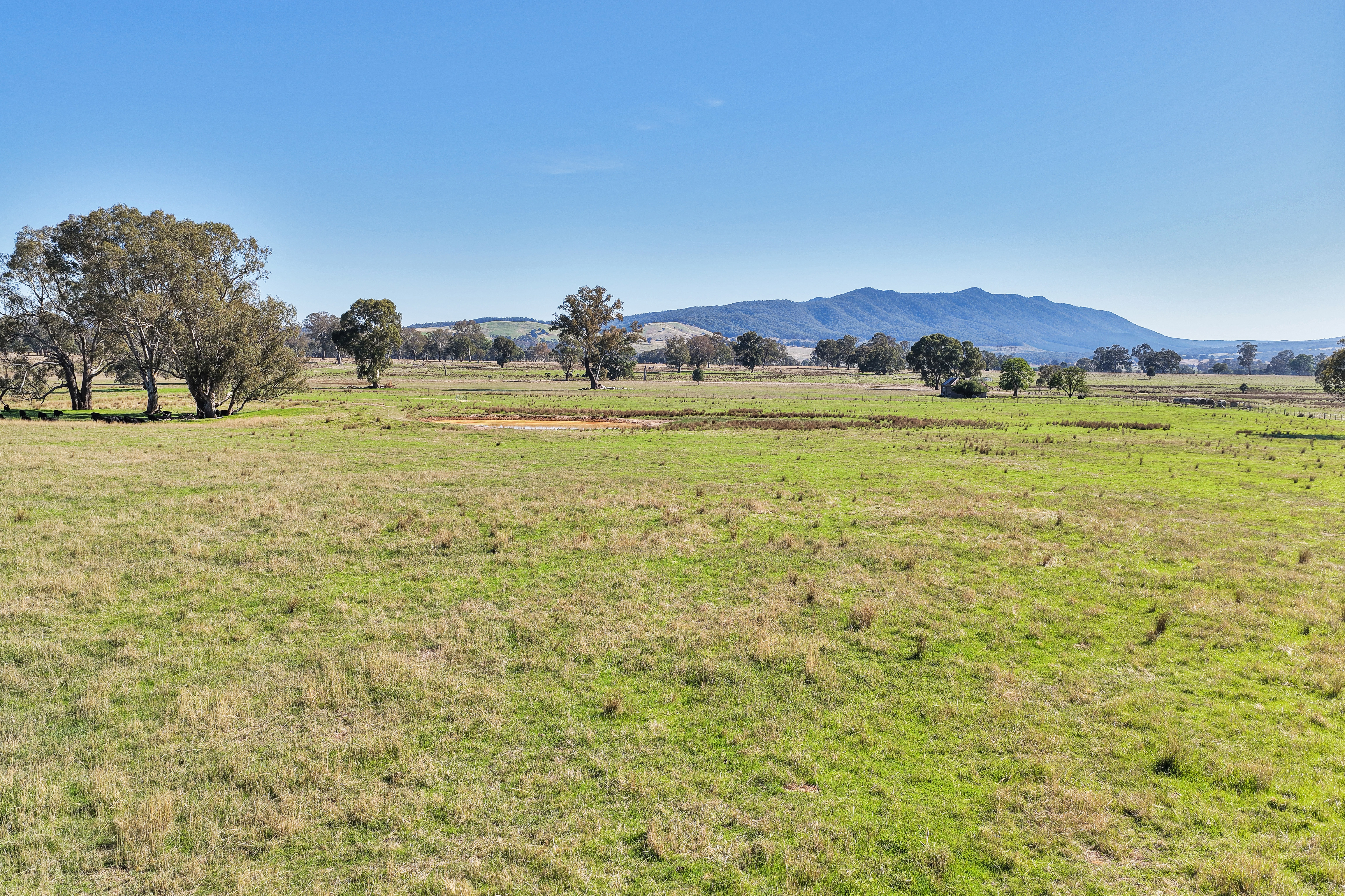 Lot 1 Midland Highway, Mansfield VIC 3722