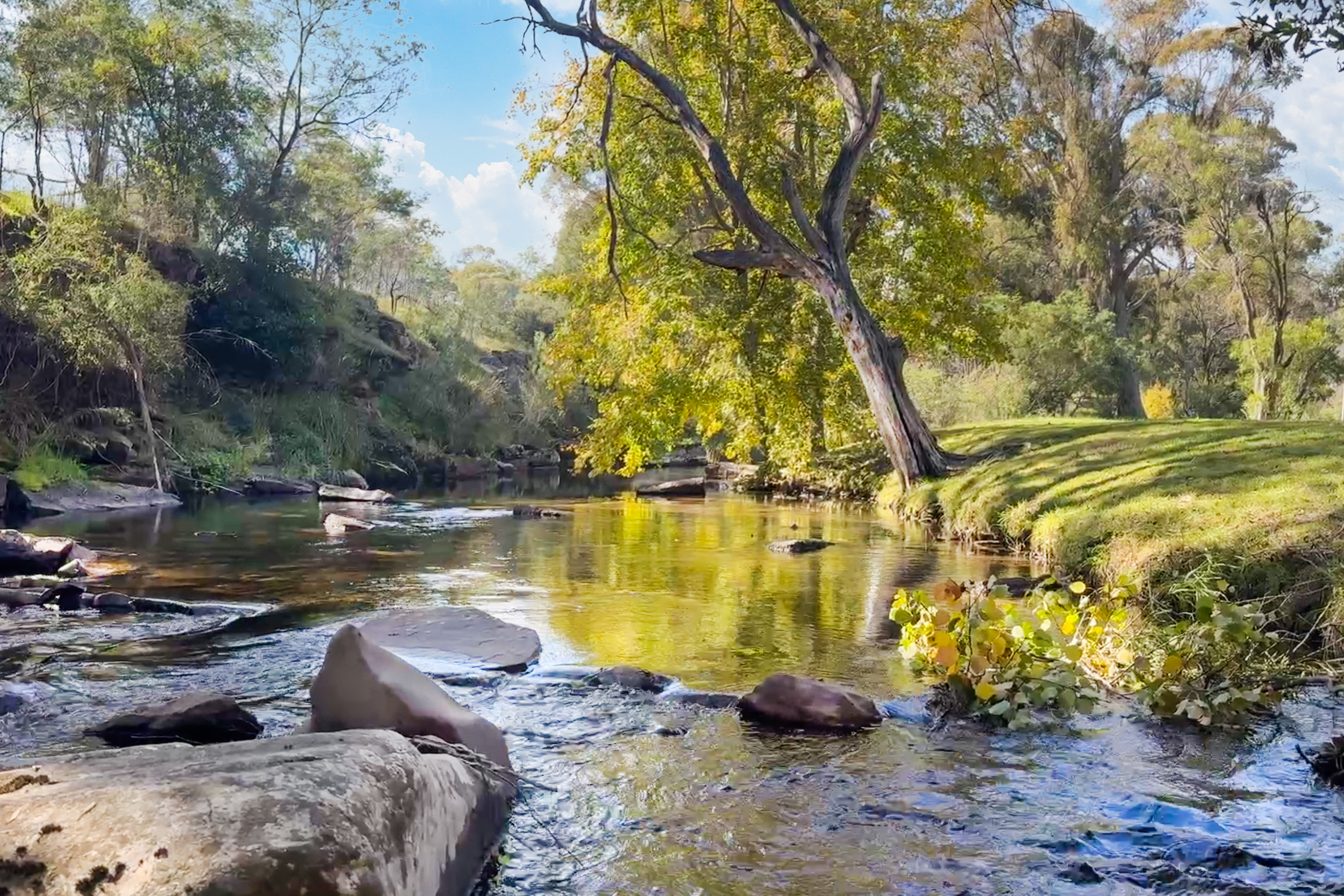 2121 Mt Buller Road, Merrijig VIC 3723