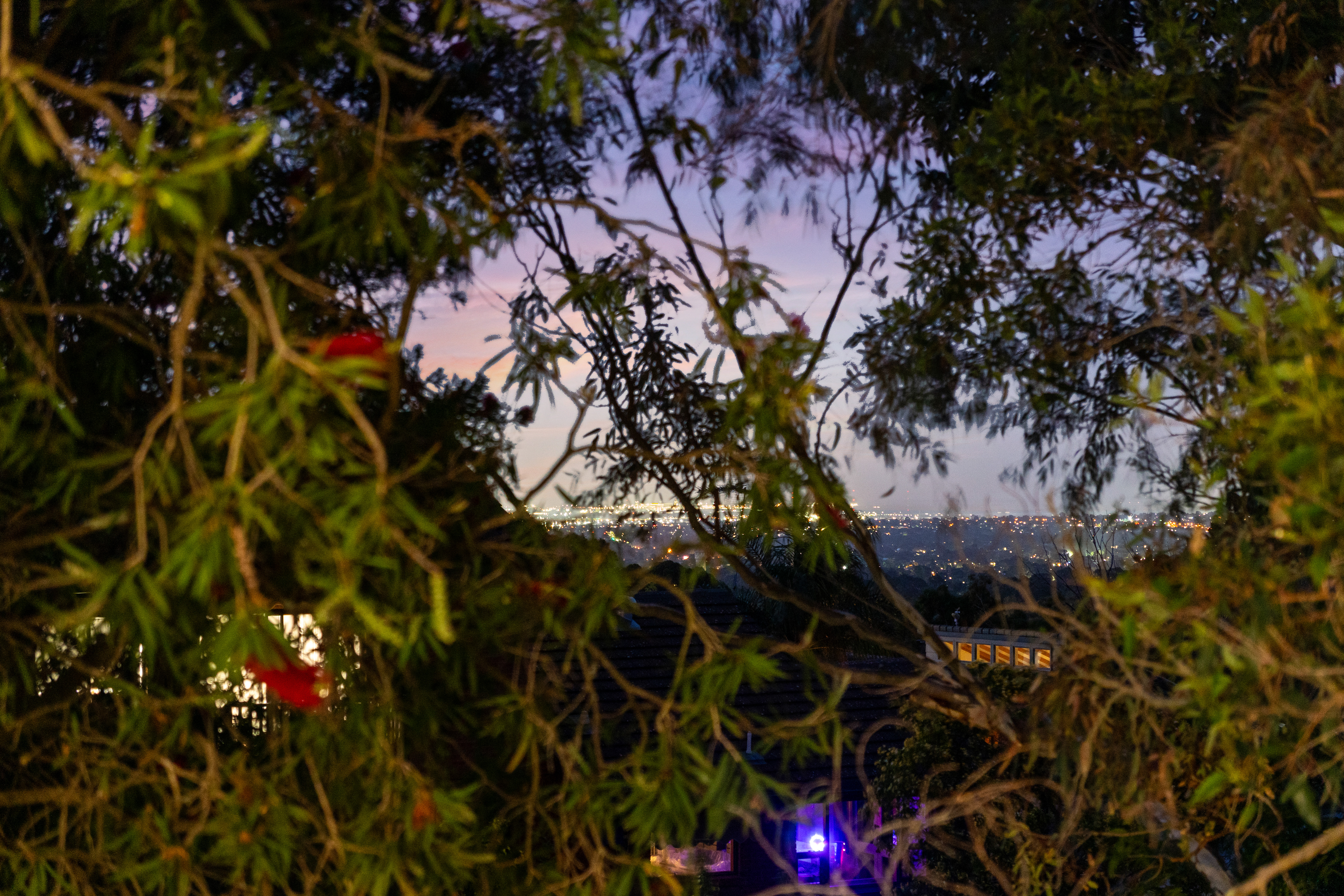 7 Schebella Court, Beaumont SA