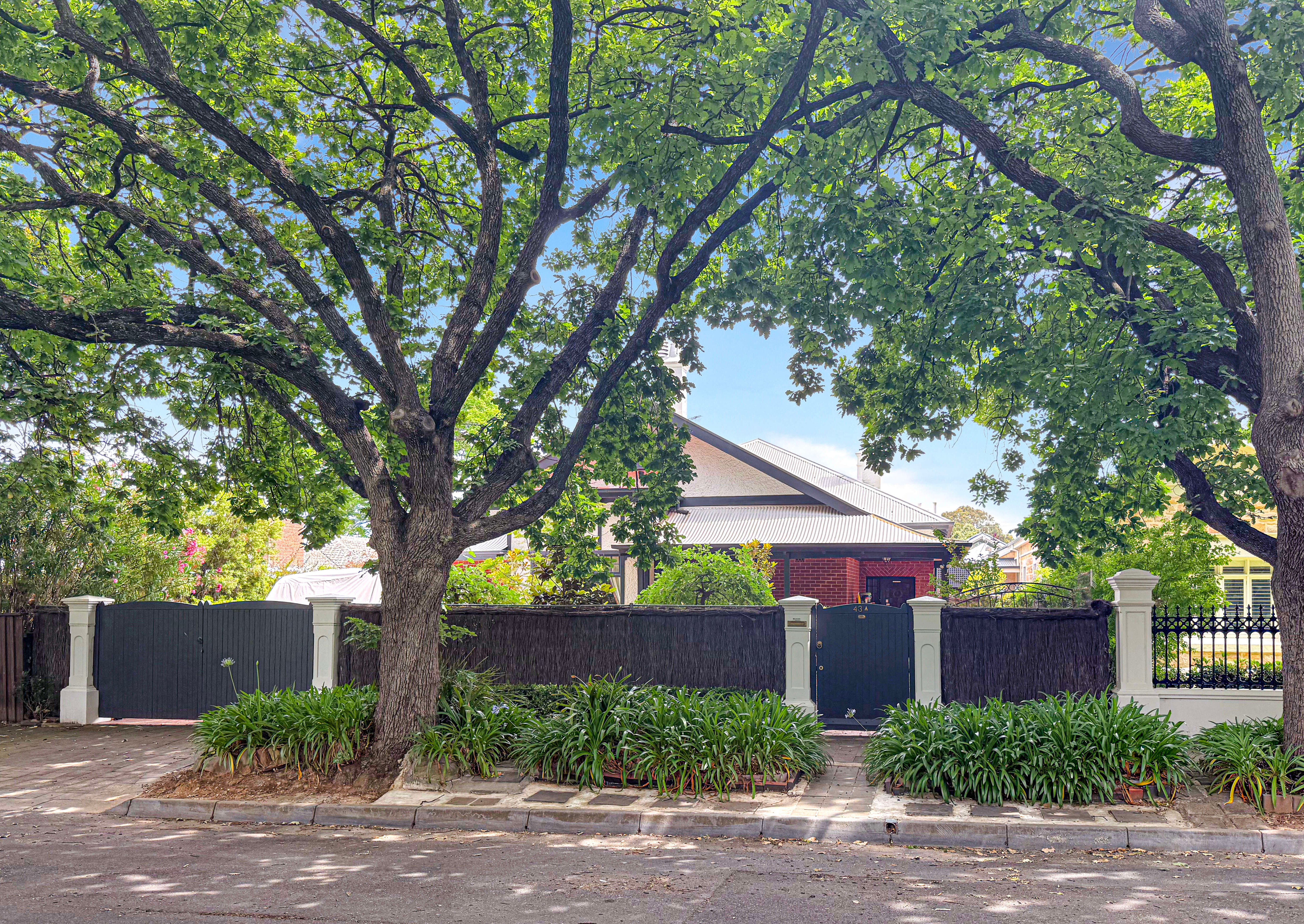 43A Alexandra Avenue, Rose Park SA