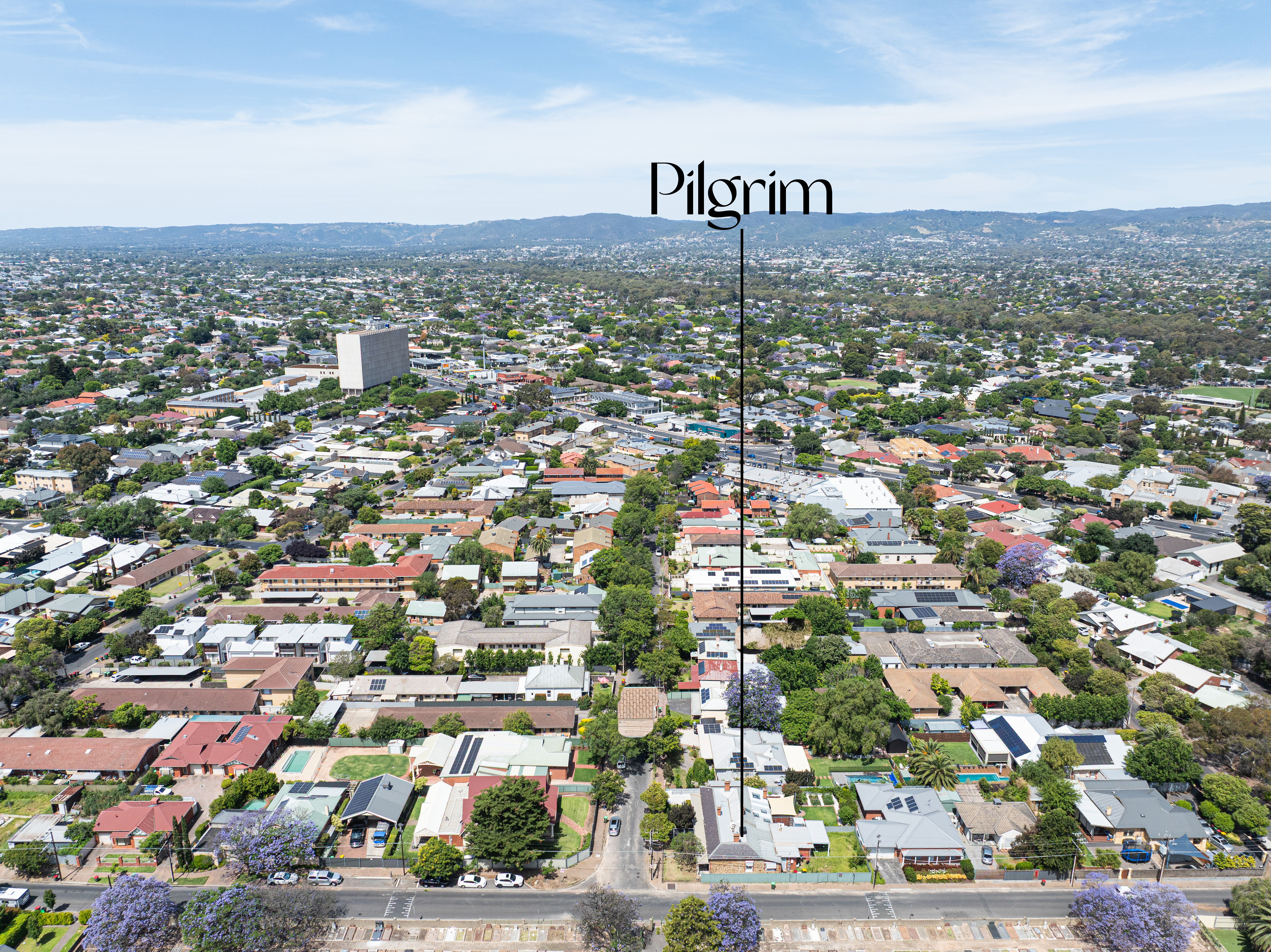 31 Cassie Street, Collinswood SA