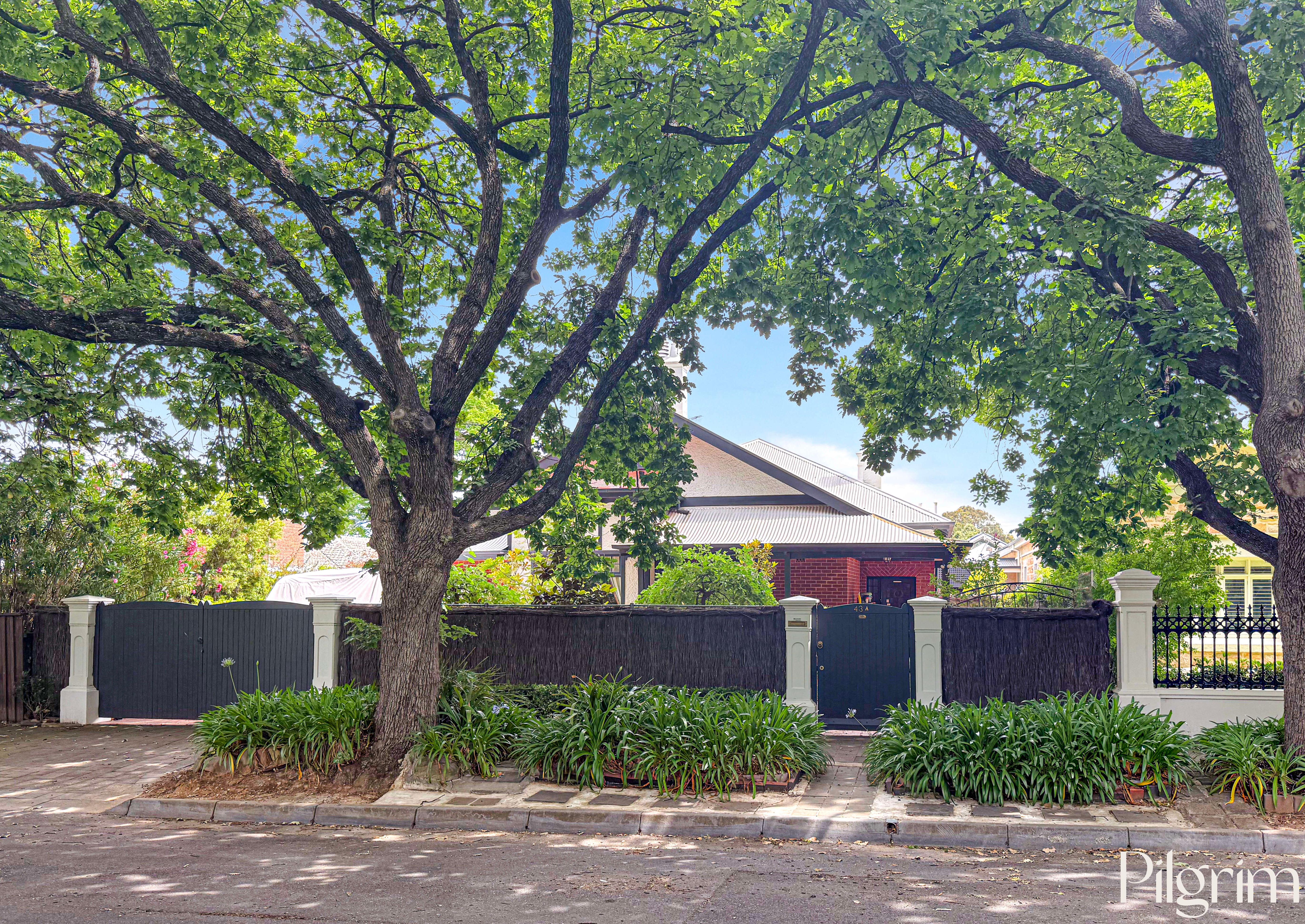 43A Alexandra Avenue, Rose Park SA