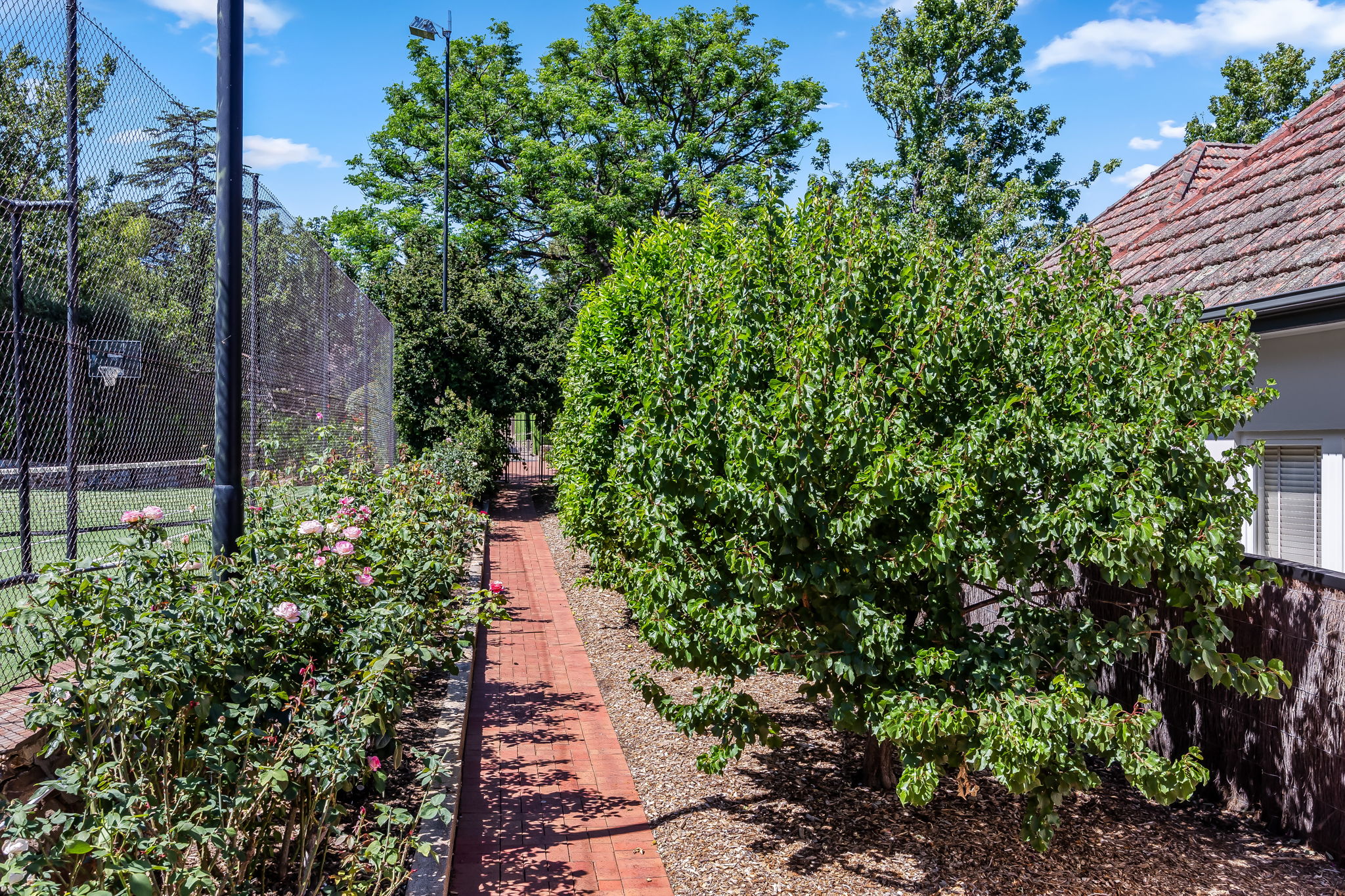 15 Wootoona Terrace, St Georges SA