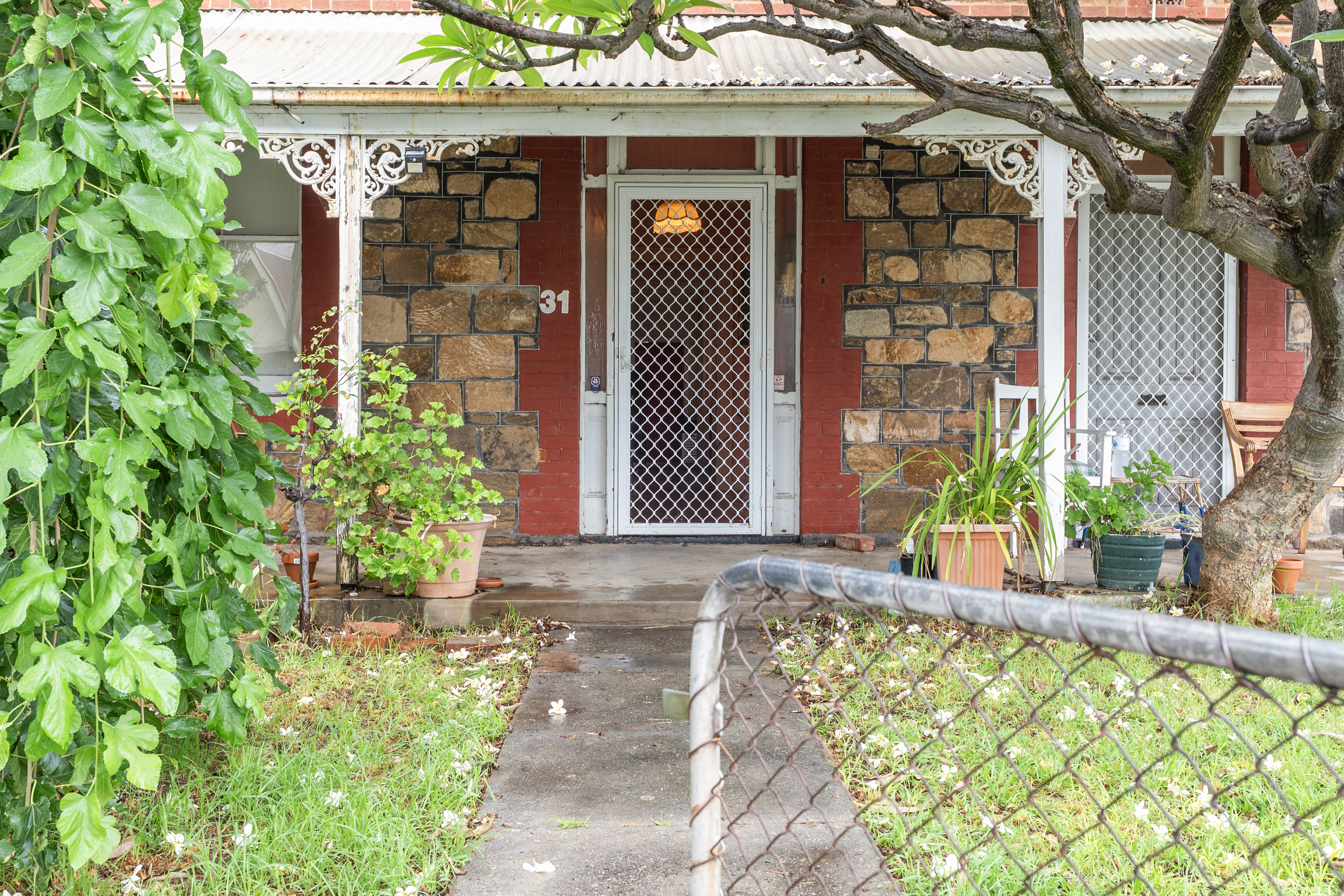 31 Cassie Street, Collinswood SA