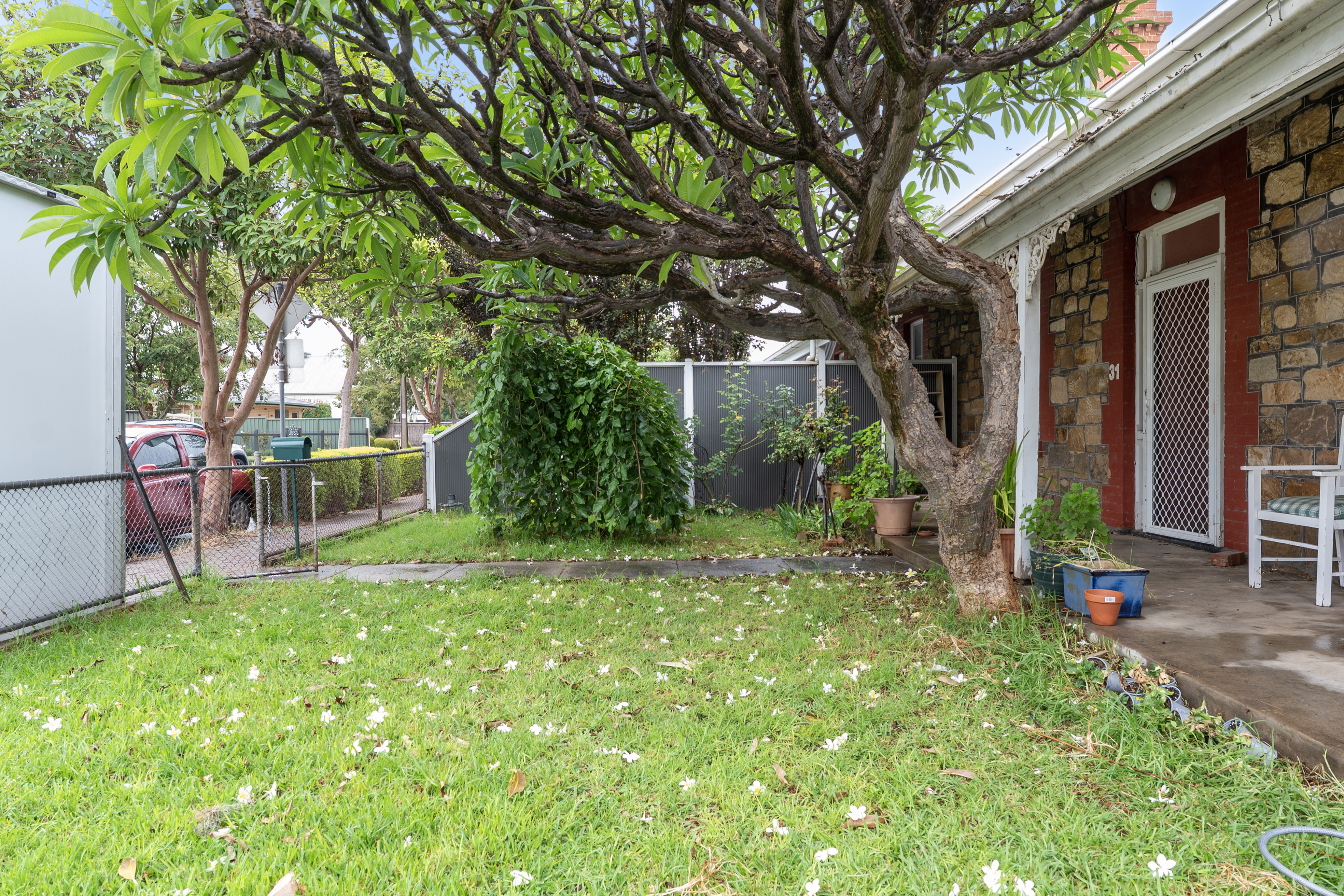 31 Cassie Street, Collinswood SA