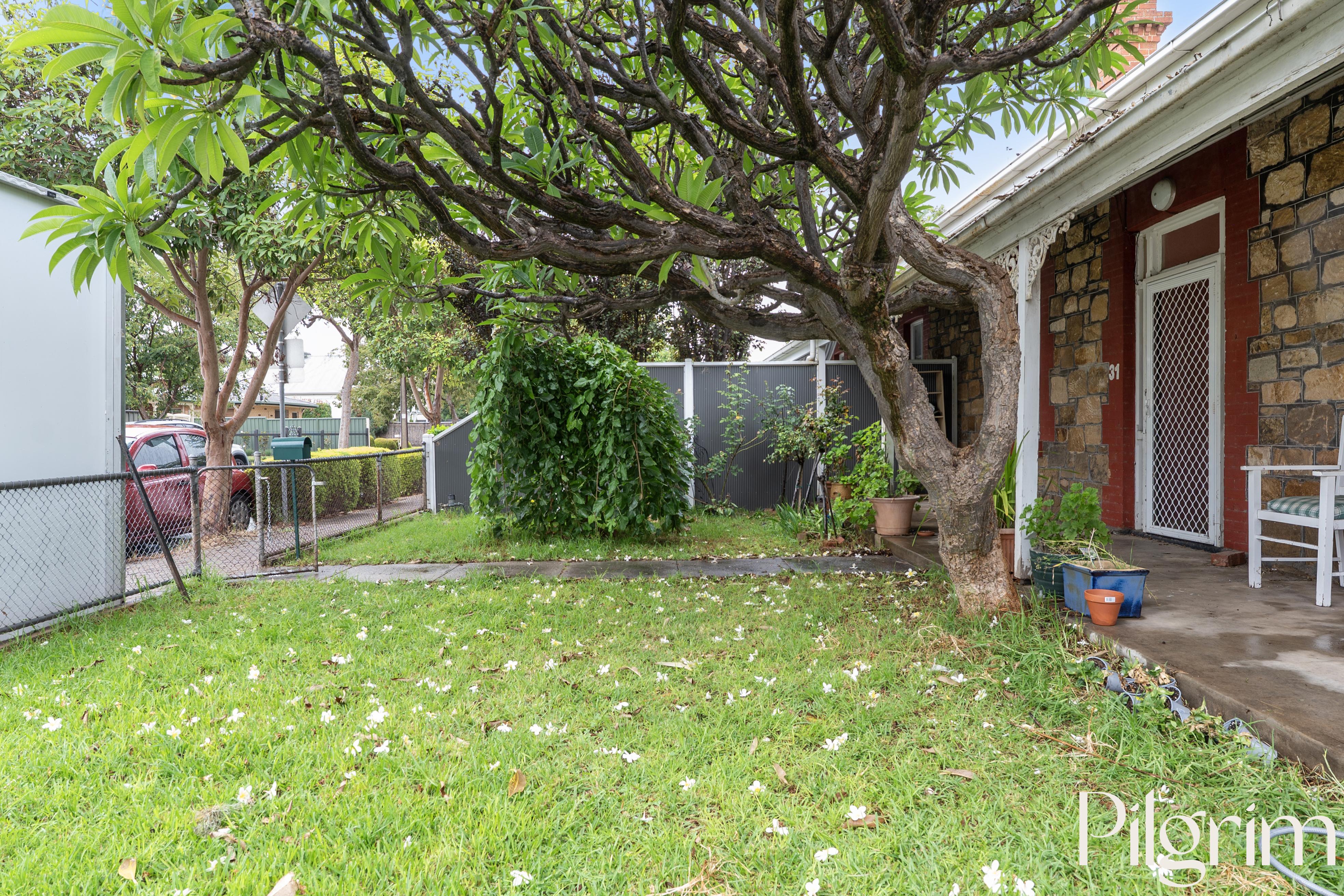 31 Cassie Street, Collinswood SA