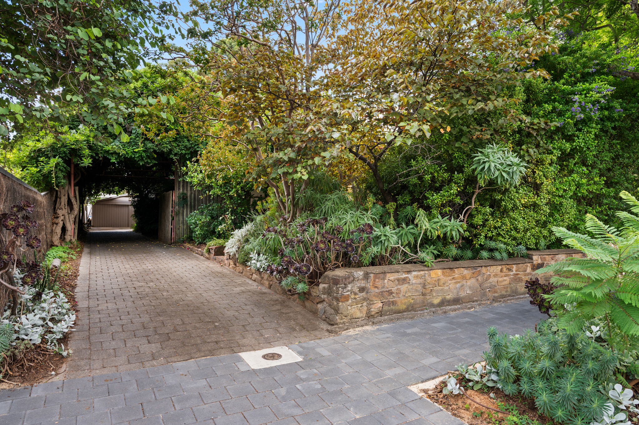 123 Grant Avenue, Toorak Gardens SA