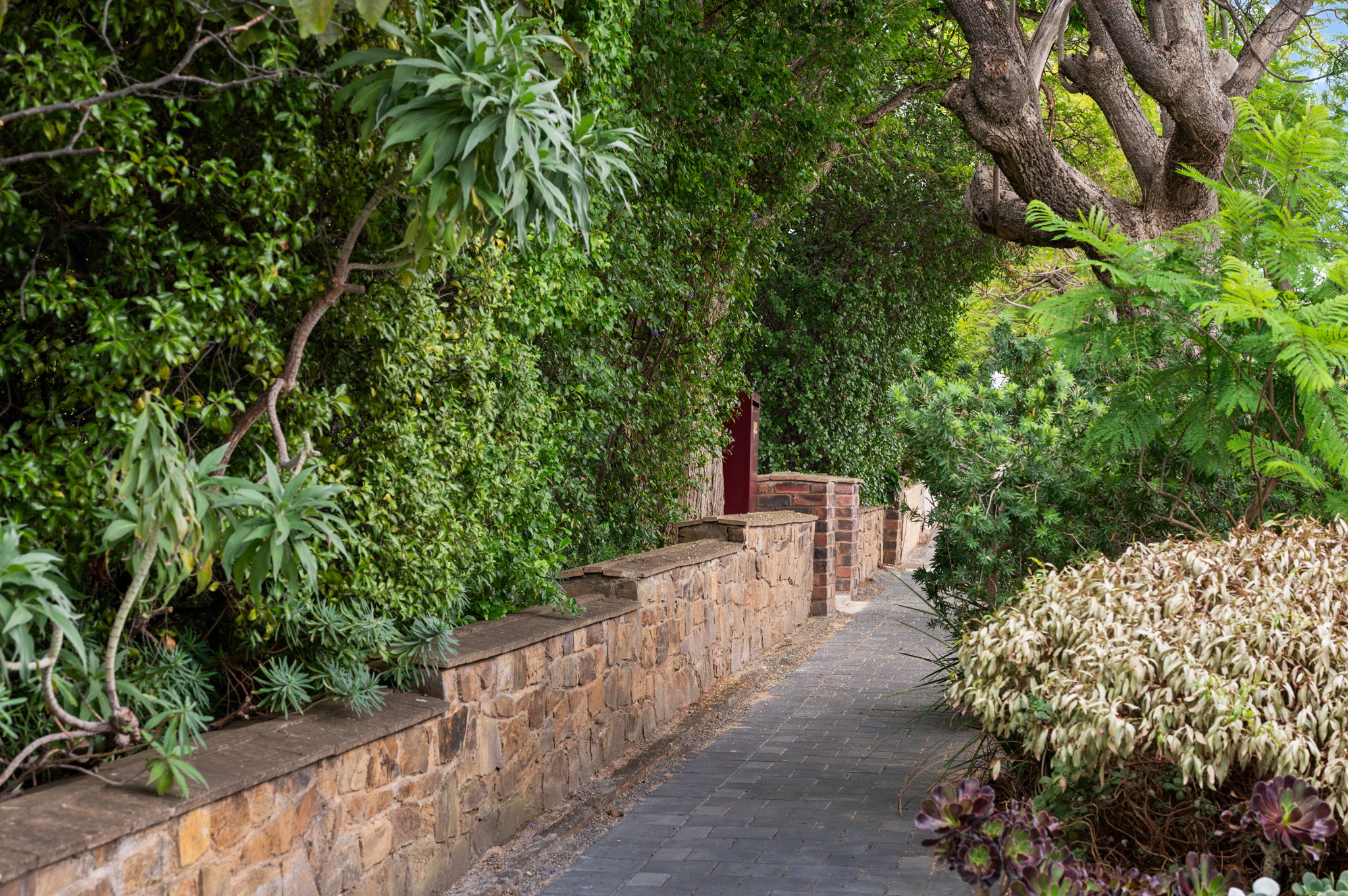 123 Grant Avenue, Toorak Gardens SA