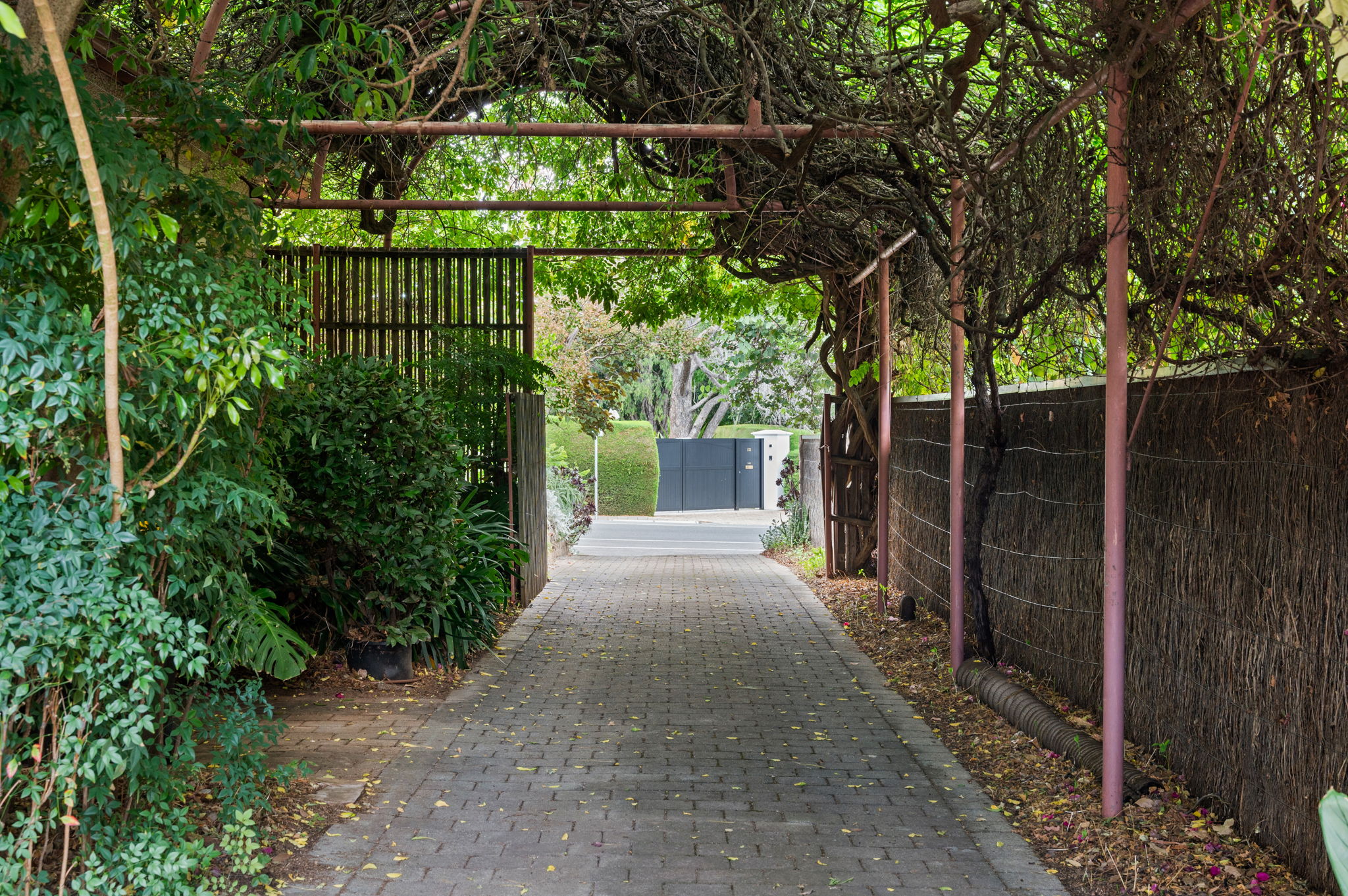 123 Grant Avenue, Toorak Gardens SA