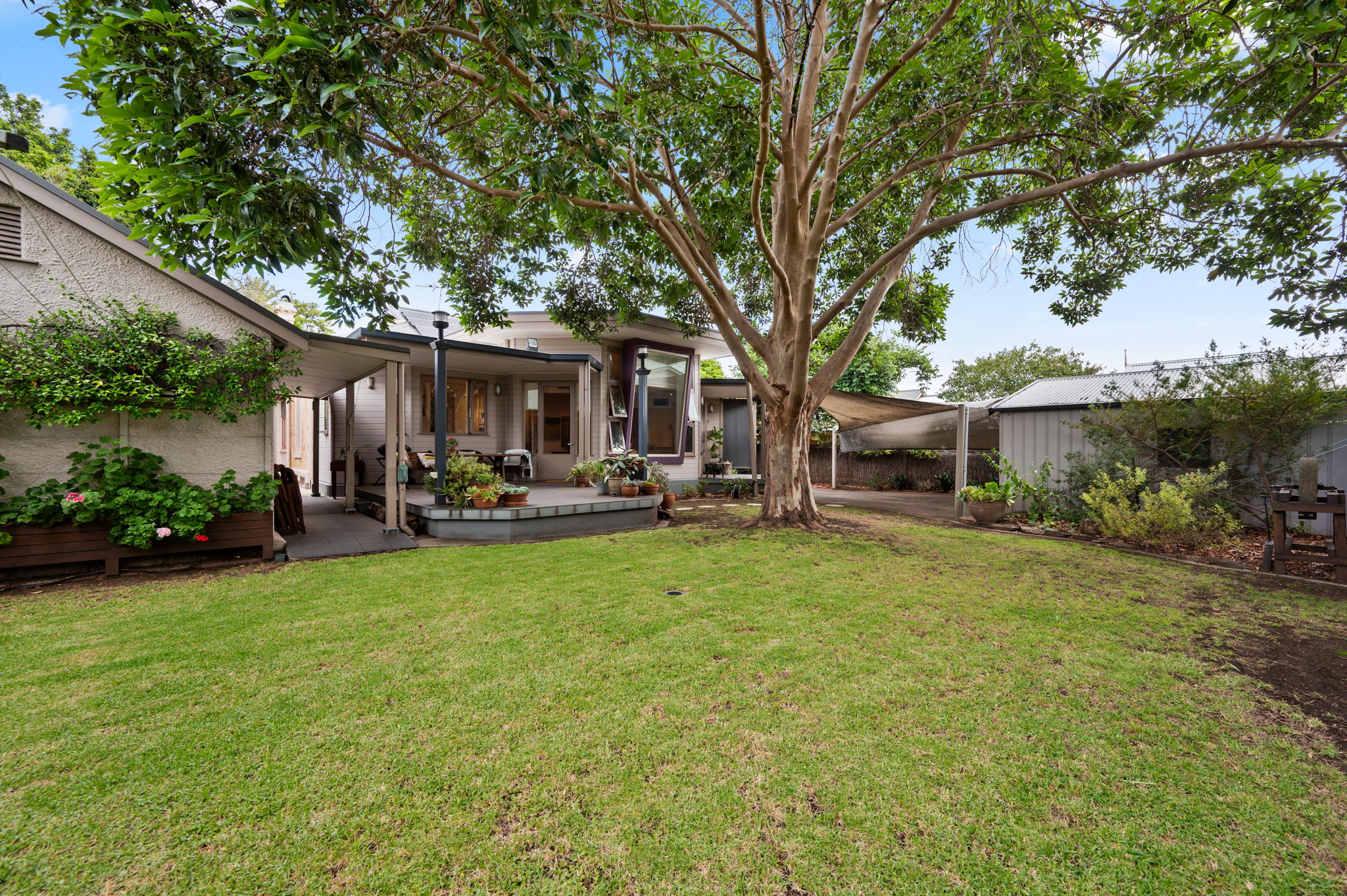 123 Grant Avenue, Toorak Gardens SA