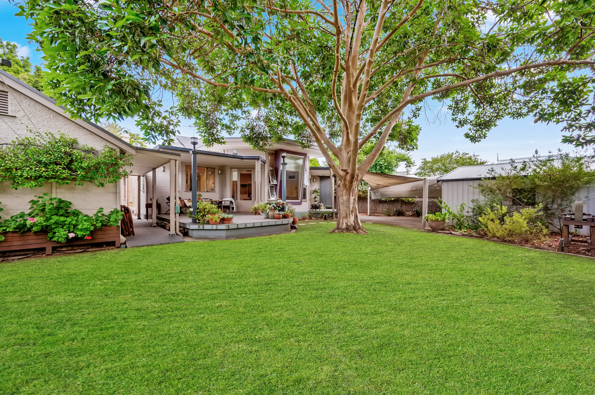 123 Grant Avenue, Toorak Gardens SA