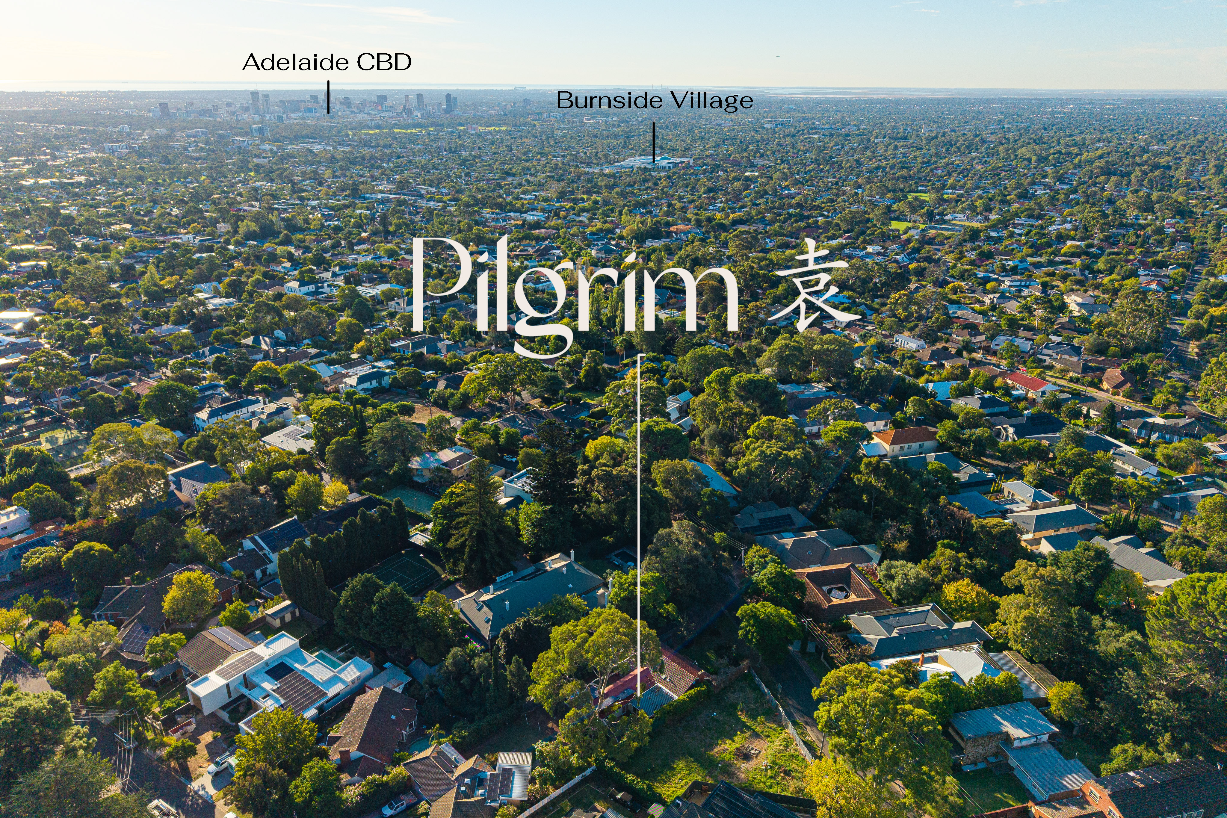 6 Lascelles Avenue, Beaumont SA