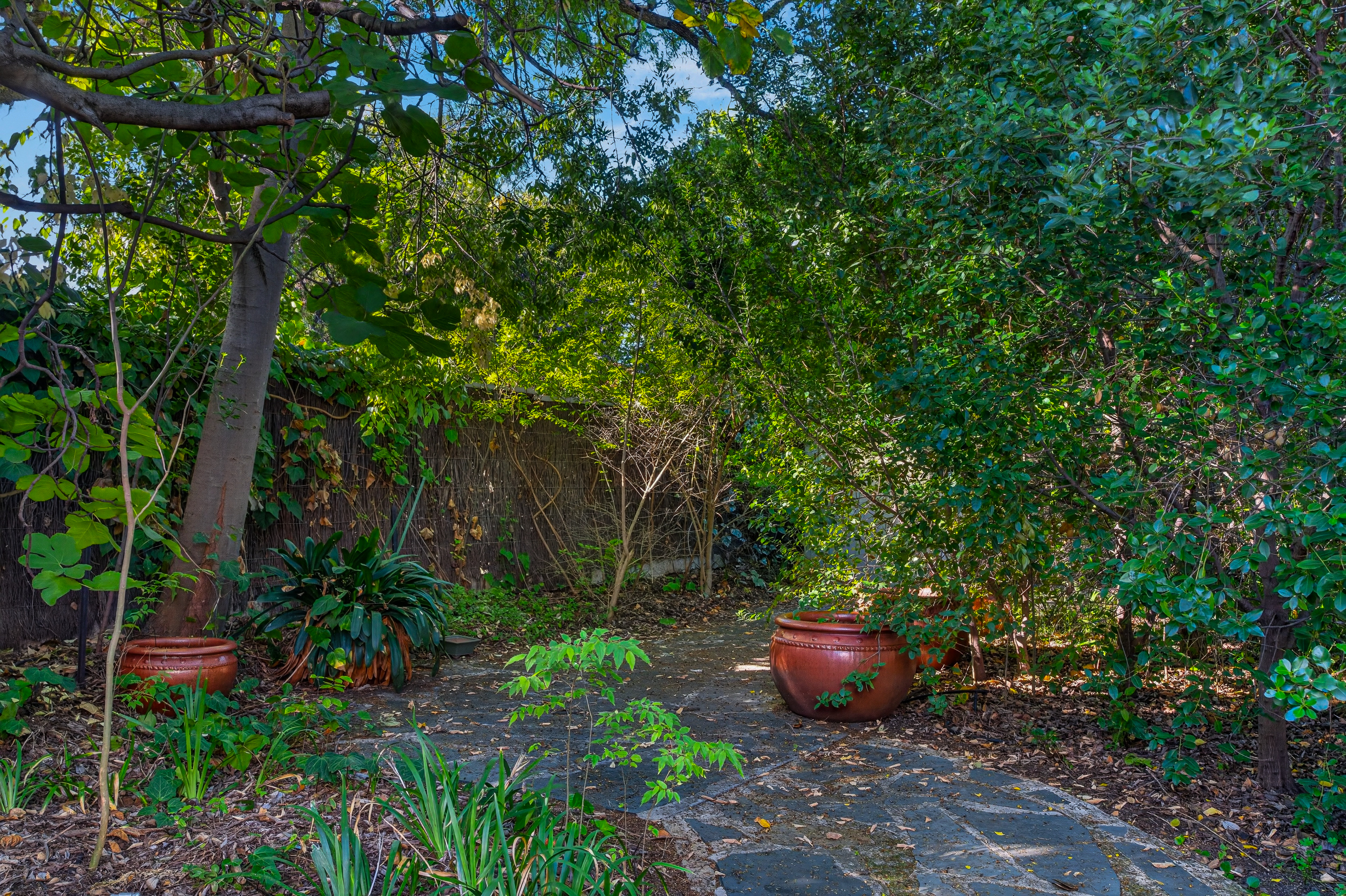 55 Northcote Terrace, Medindie SA