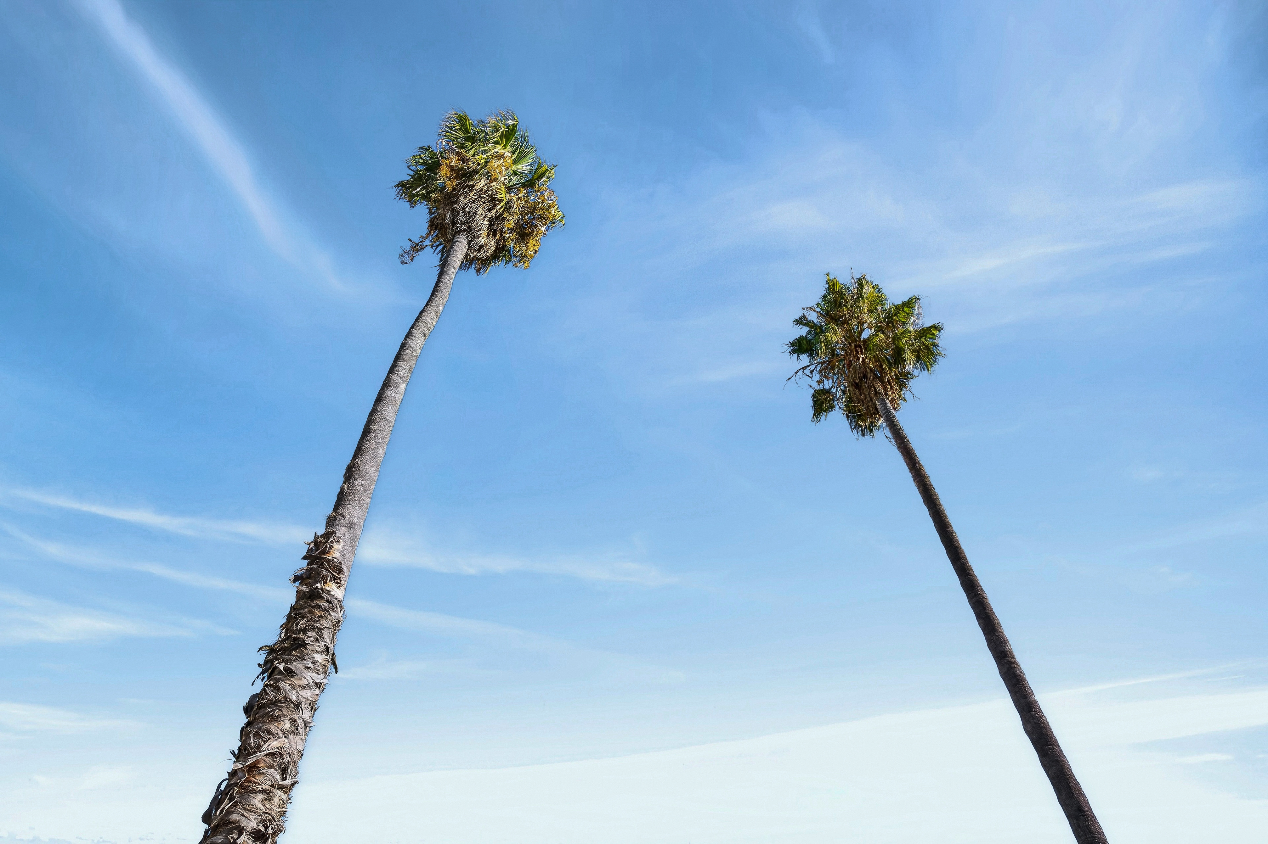 14 Scott Street, Dulwich SA