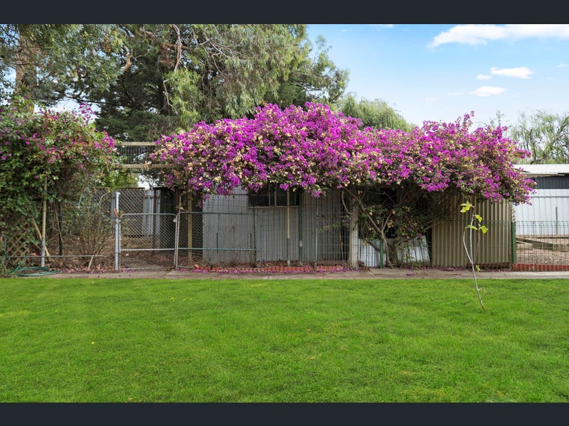 13 Dryden Road, Black Forest SA