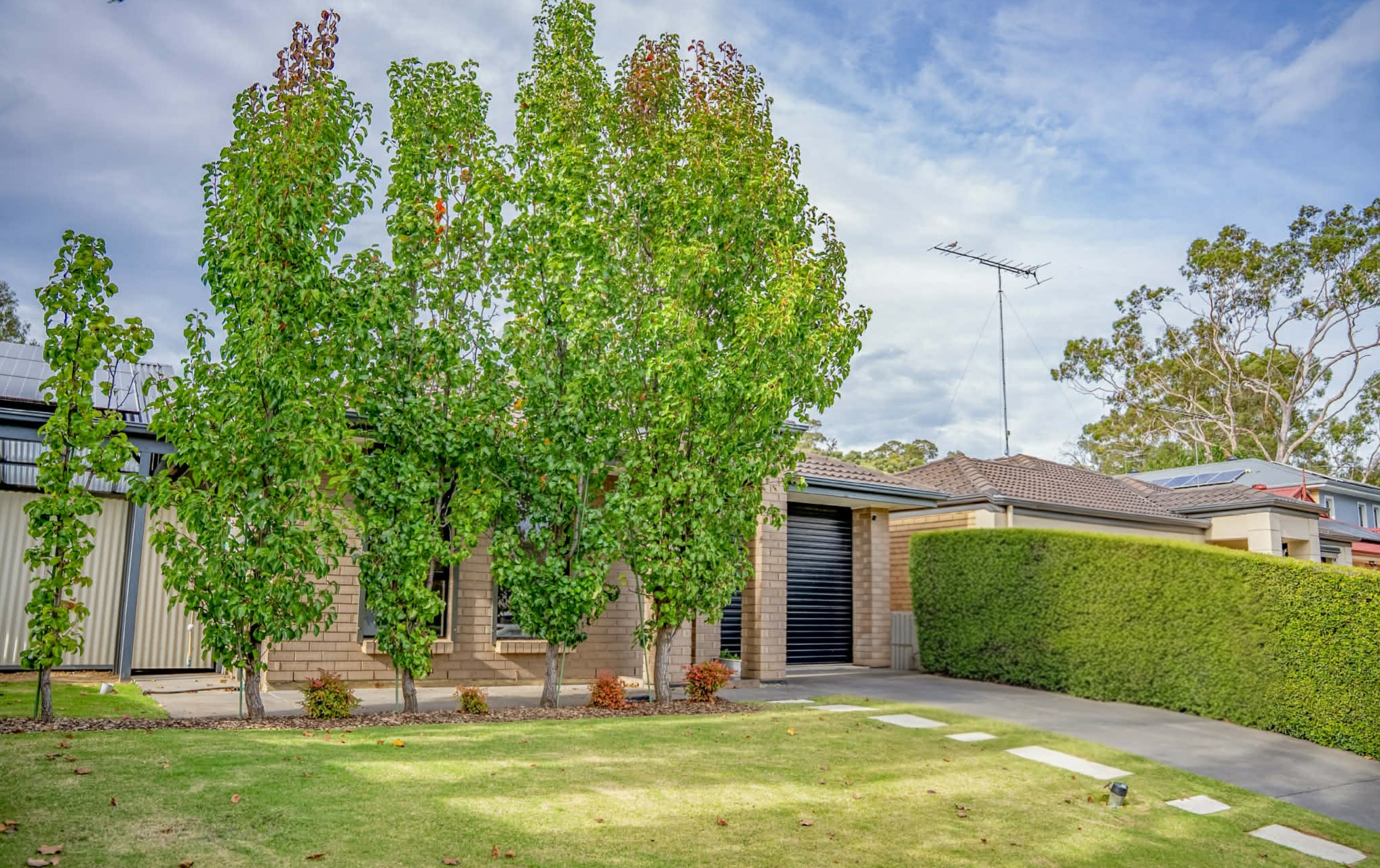 26 The Walk, Coromandel Valley SA