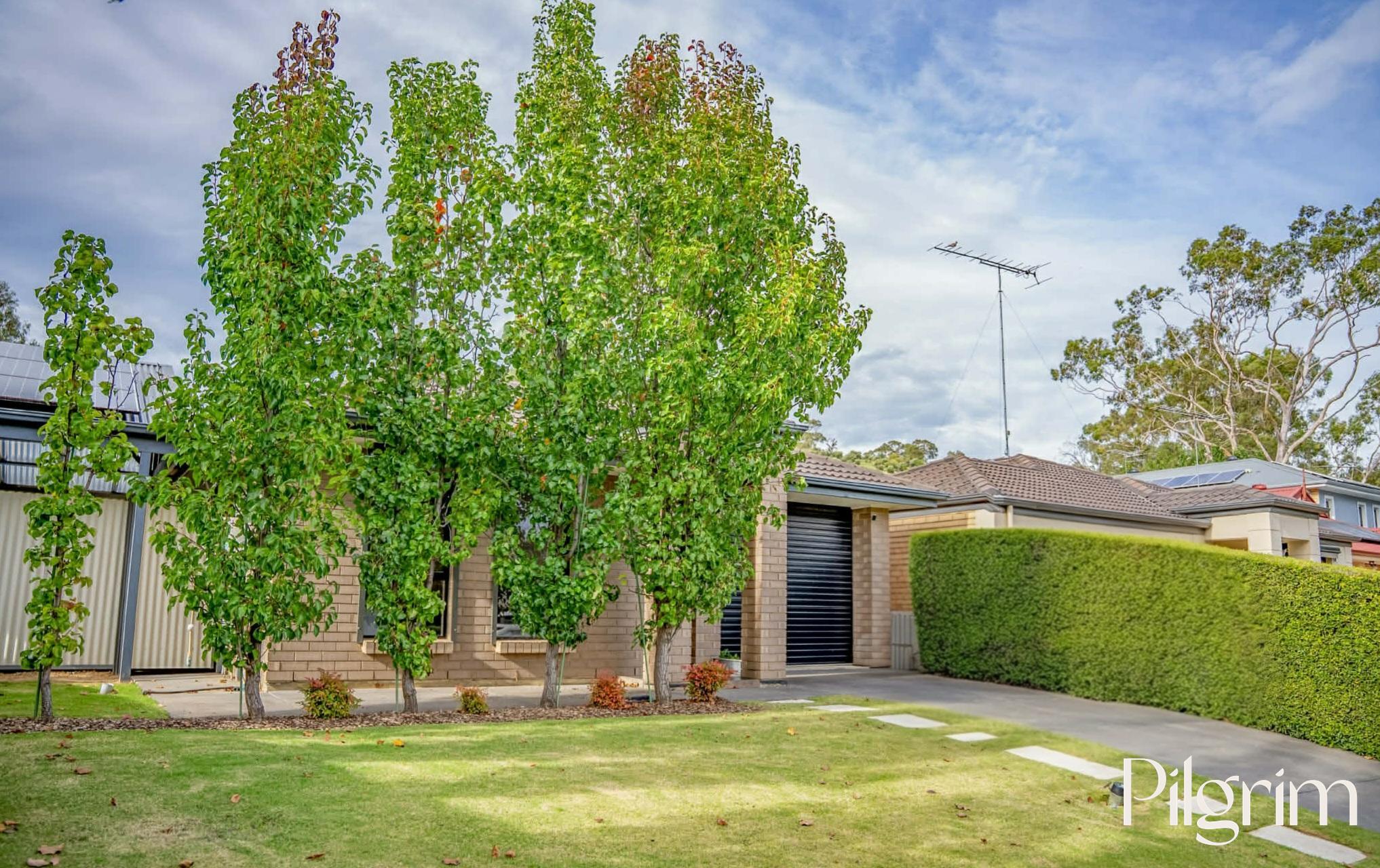 26 The Walk, Coromandel Valley SA