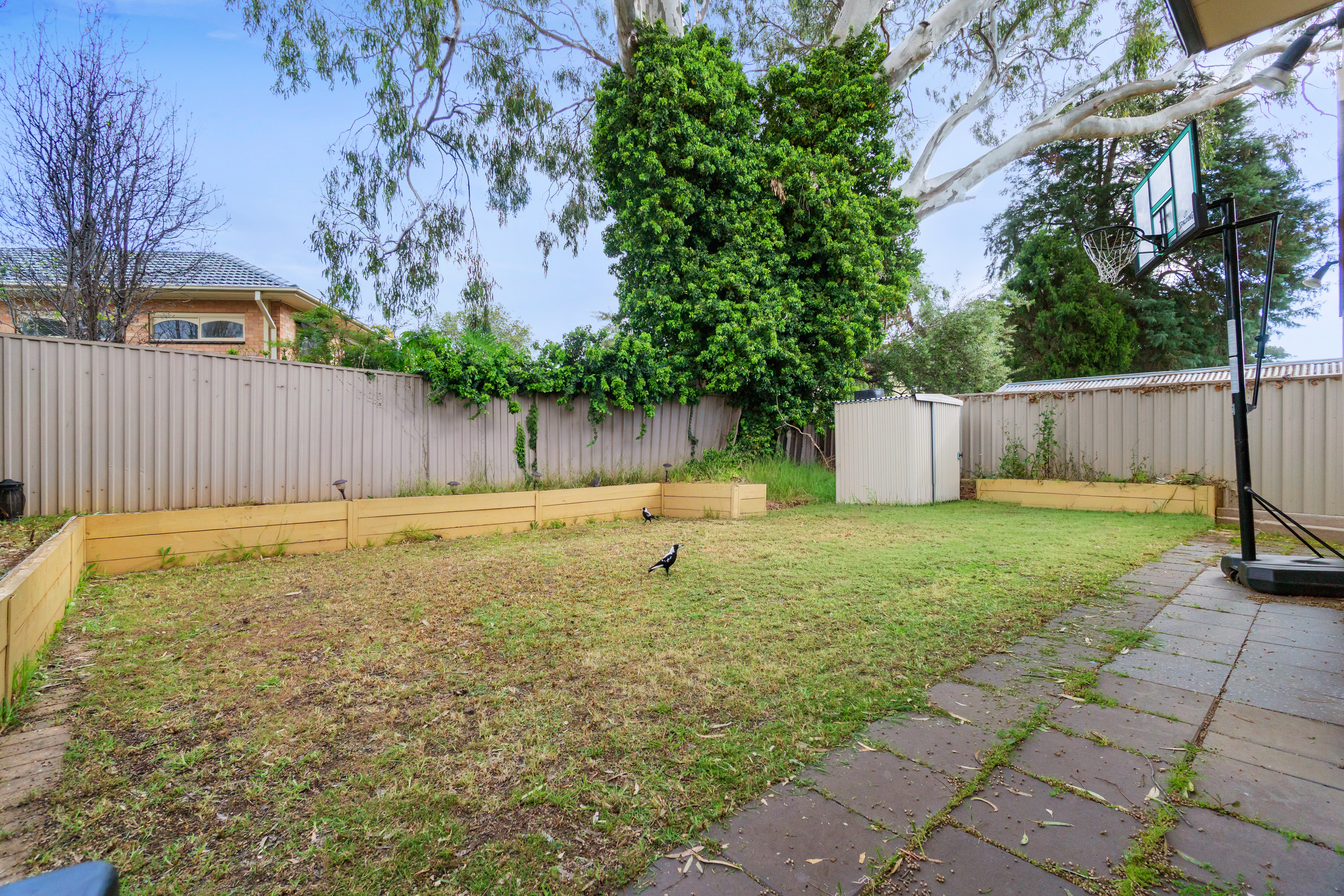 58A Hay Road, Linden Park SA