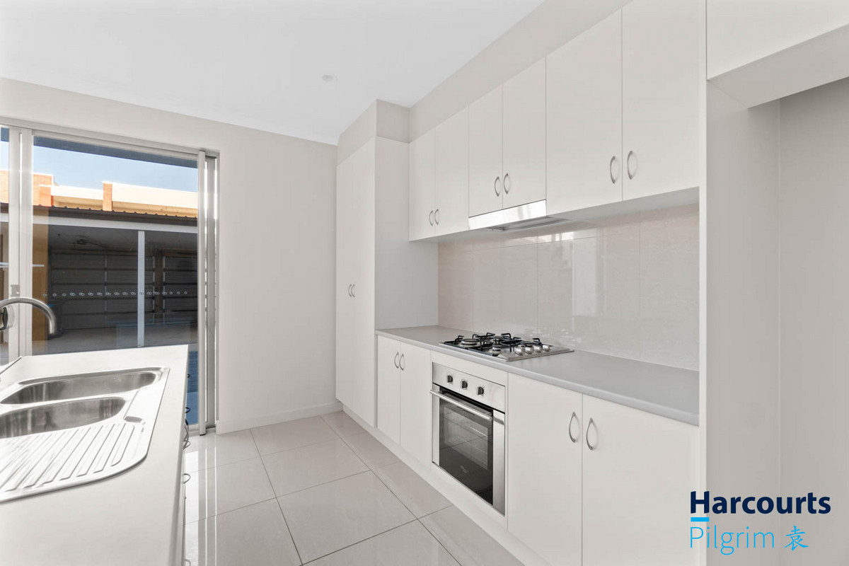 23 Condon Drive, Lightsview SA