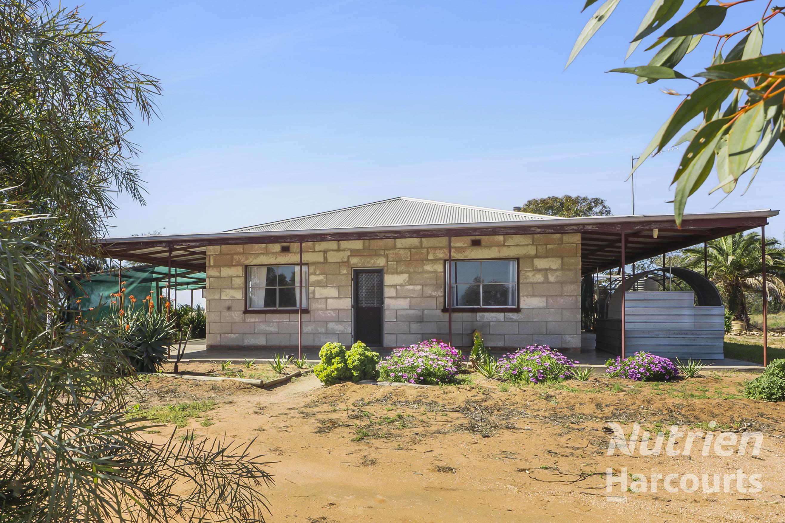 Farm For Sale - SA - Renmark - 5341 - Add Value and Make It Your Own 