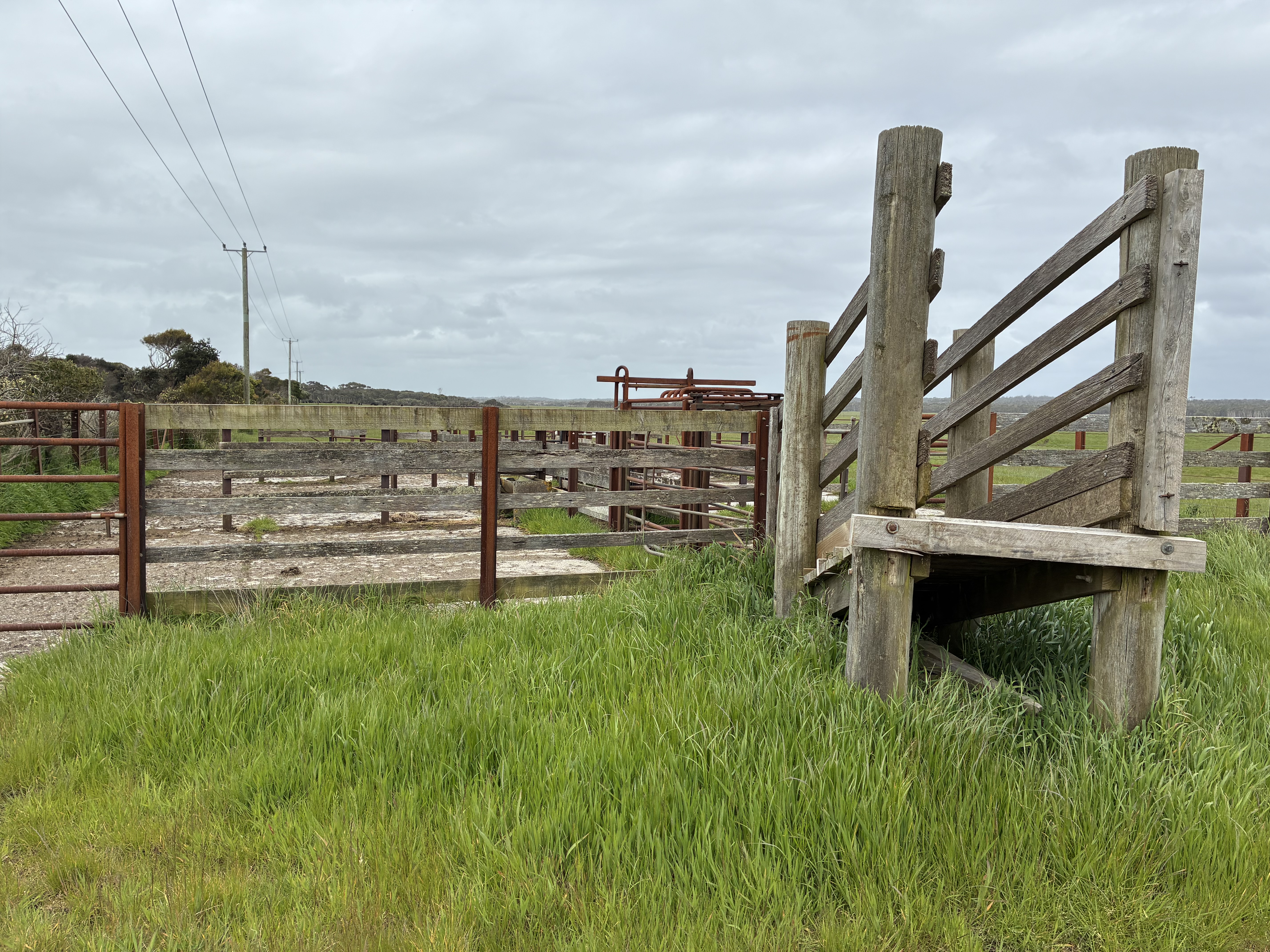 . Harcus River Road, Marrawah TAS 7330