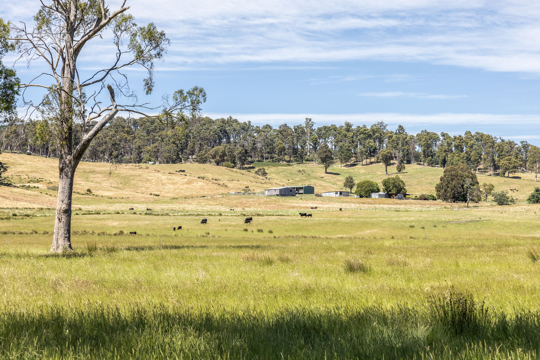 3600 Blessington Road, Upper Blessington TAS 7212