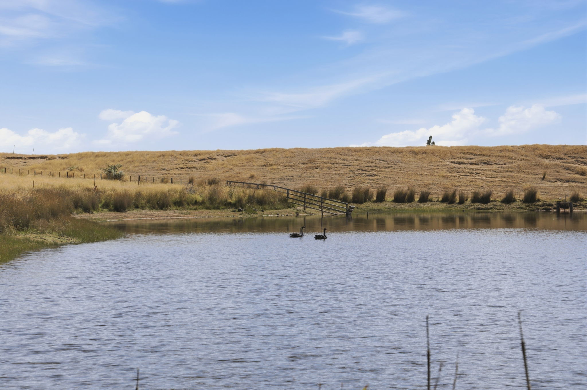 936 Westwood Road, Westwood For Sale by Farmbuy.com - image 27