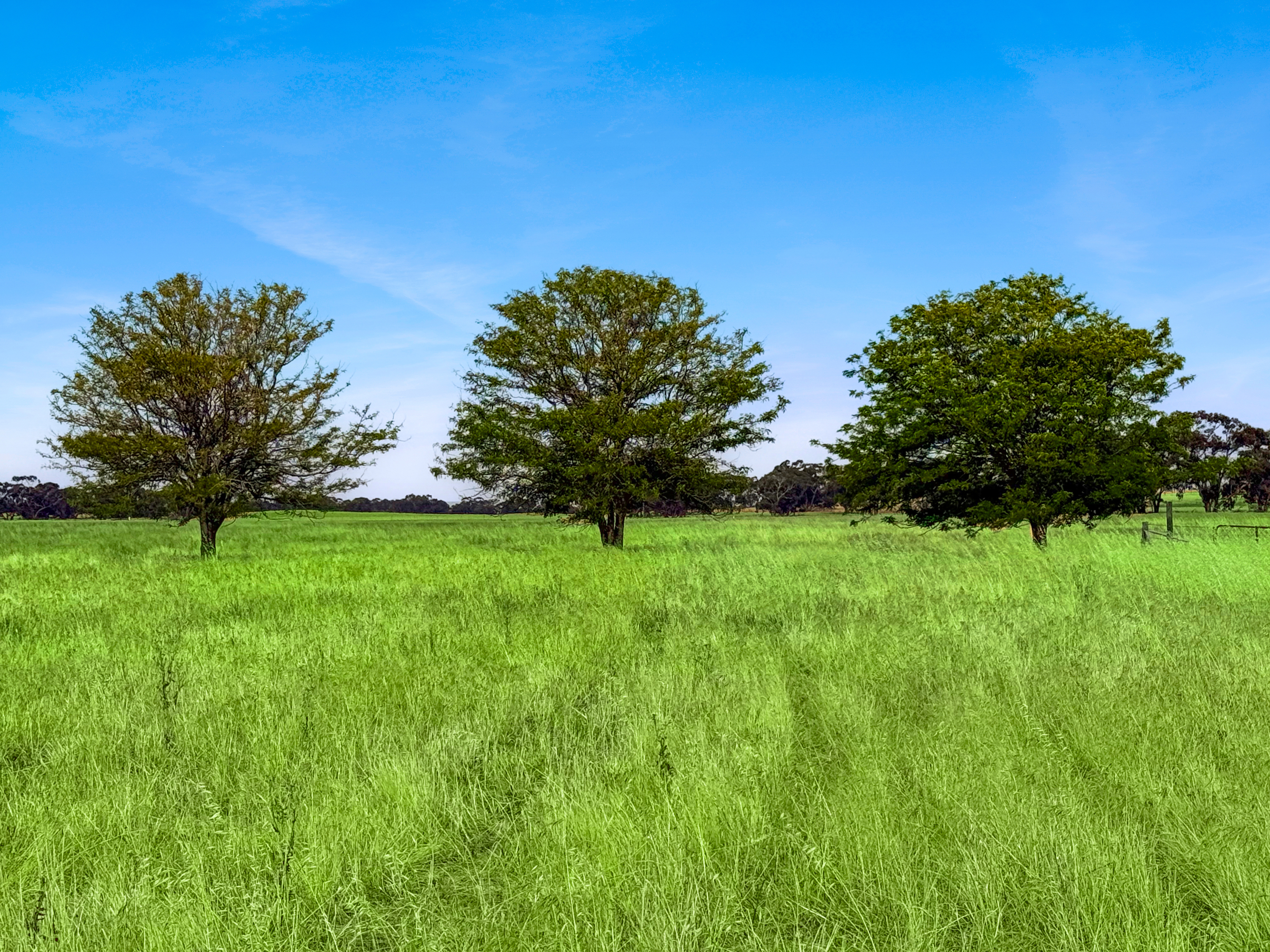 Lot 68 Penniment Road, Bordertown SA 5268