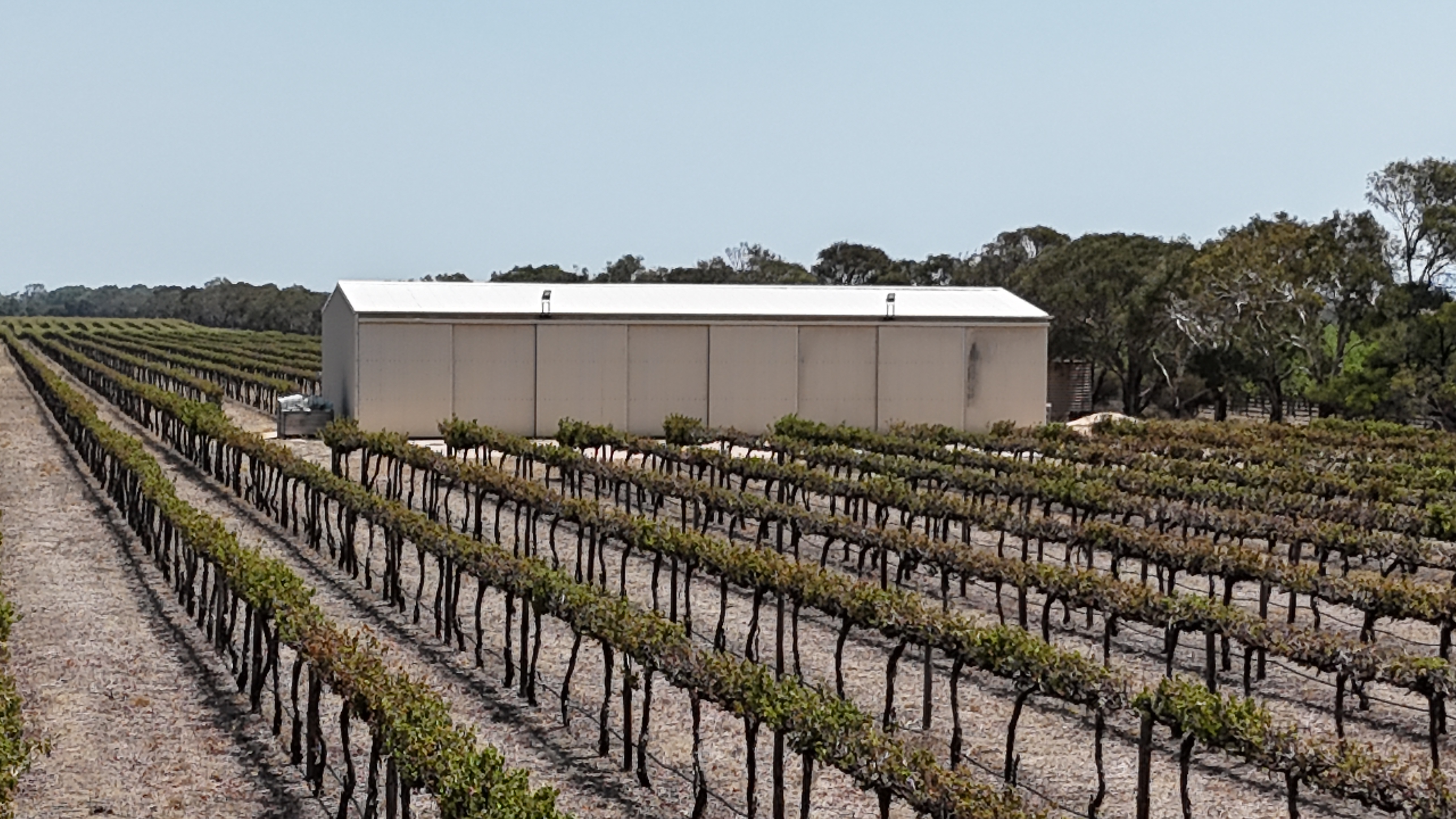 359 Chapel Road, Lake Plains SA, Lake Plains - Thumbnail 2