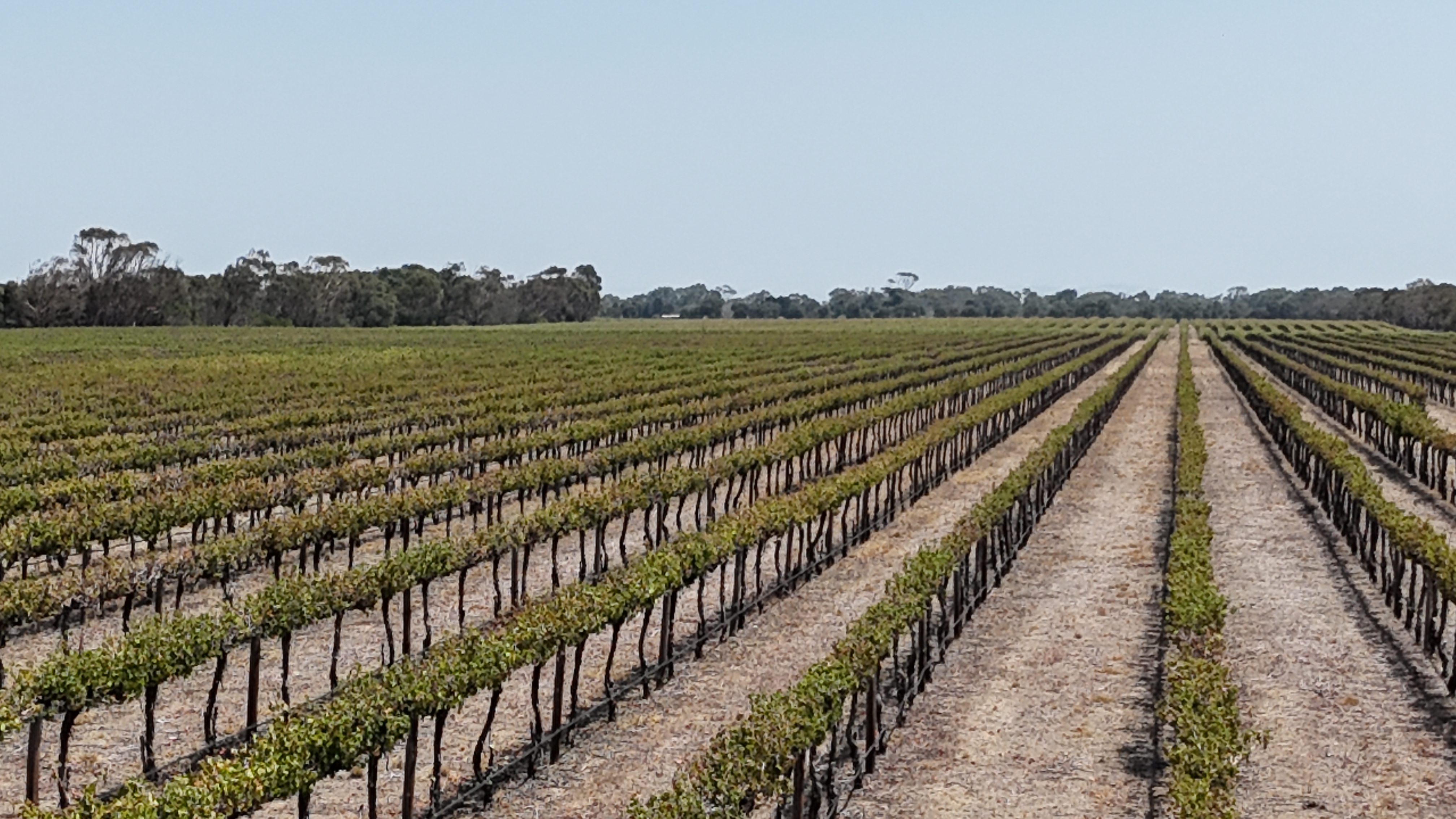 359 Chapel Road, Lake Plains SA, Lake Plains - Thumbnail 3